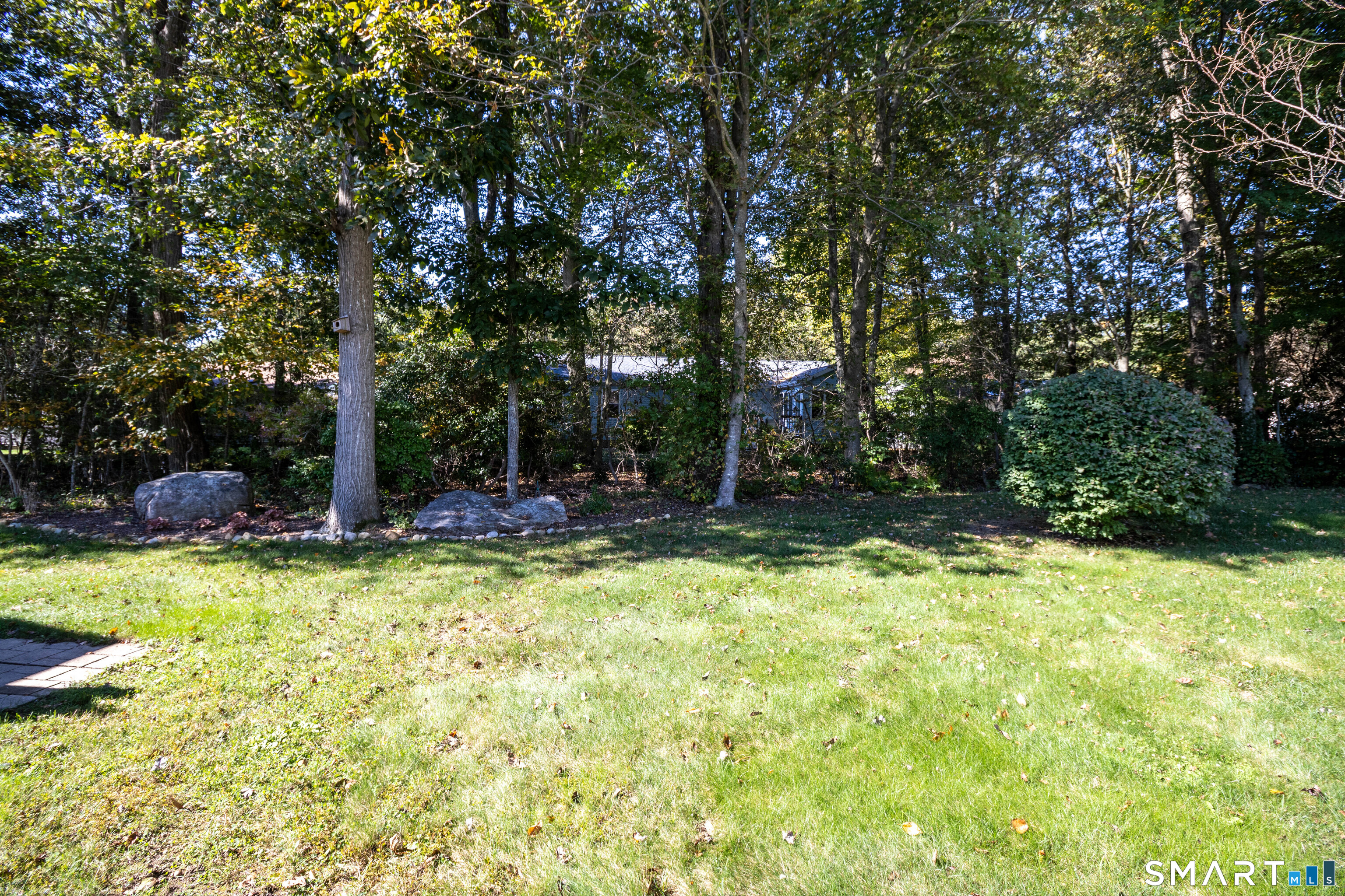 Private back yard