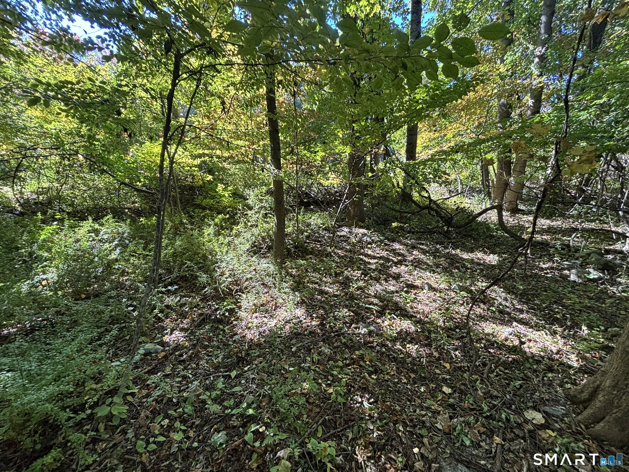 Photo 2 of Land for sale at 7 Holley Ln, Prospect, CT 06712 | MLS# 24177500 | Listing updated on 2026-10-07
