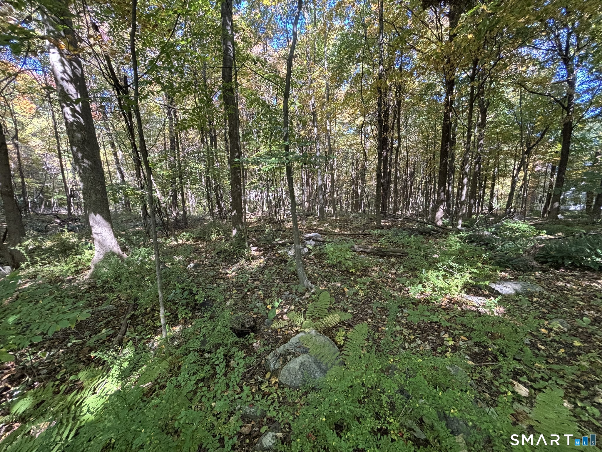 Photo 3 of Land for sale at 7 Holley Ln, Prospect, CT 06712 | MLS# 24177500 | Listing updated on 2026-10-07