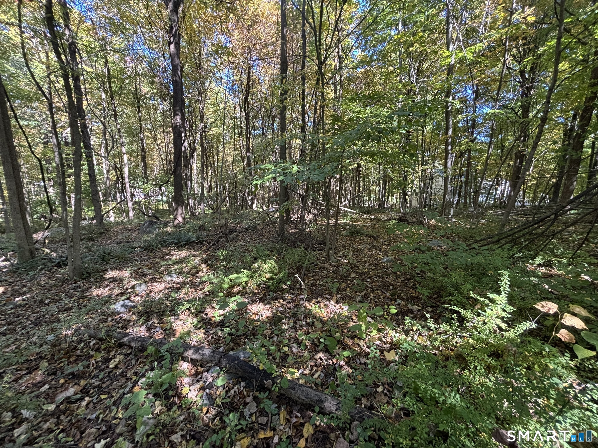 Photo 4 of Land for sale at 7 Holley Ln, Prospect, CT 06712 | MLS# 24177500 | Listing updated on 2026-10-07