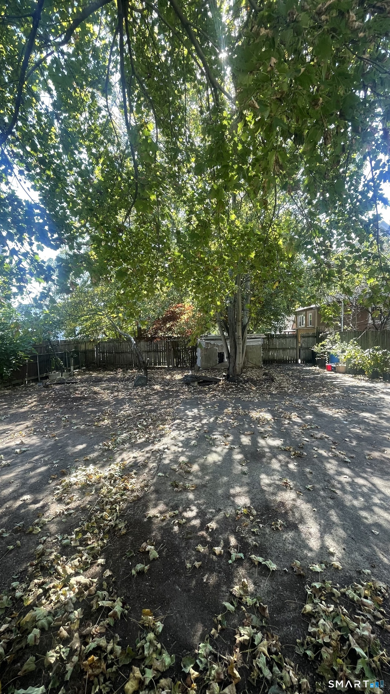 163 Saltonstall Avenue photo 22