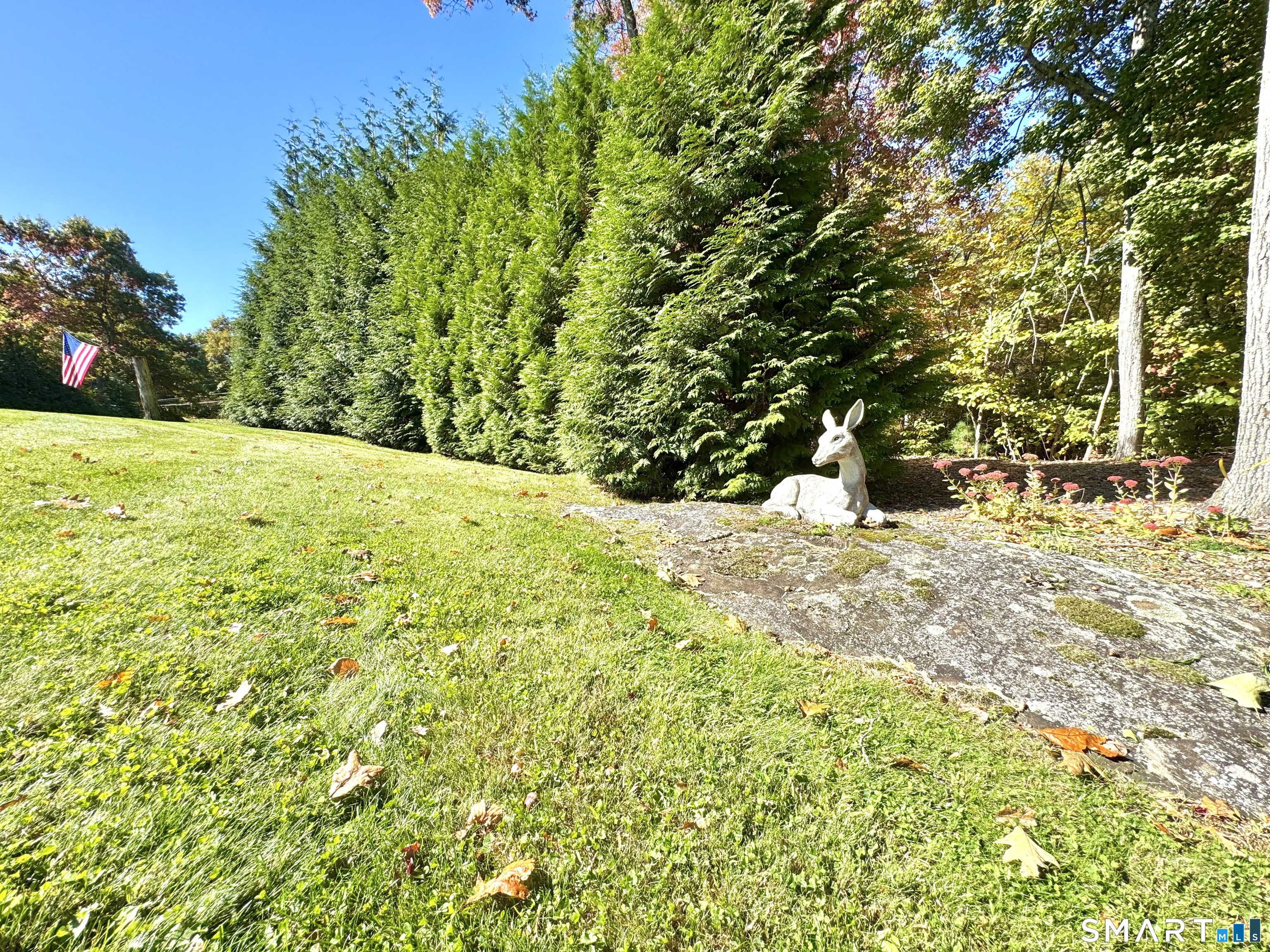 64 Carter Road photo 11