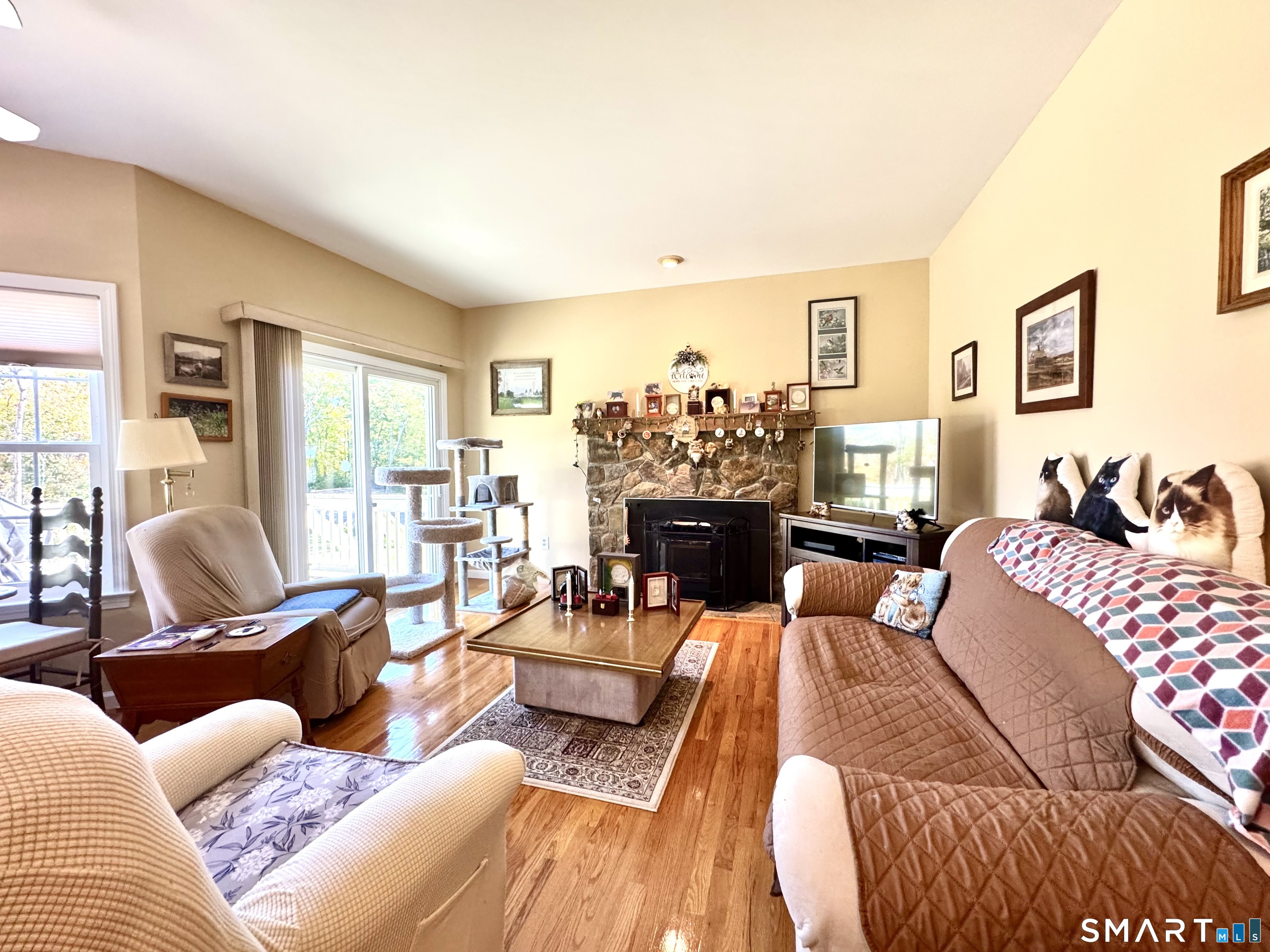 64 Carter Road photo 19