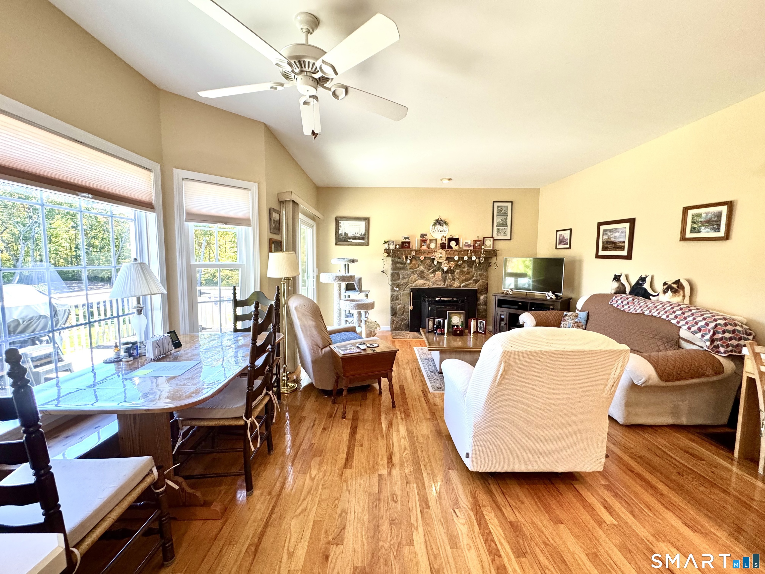 64 Carter Road photo 20