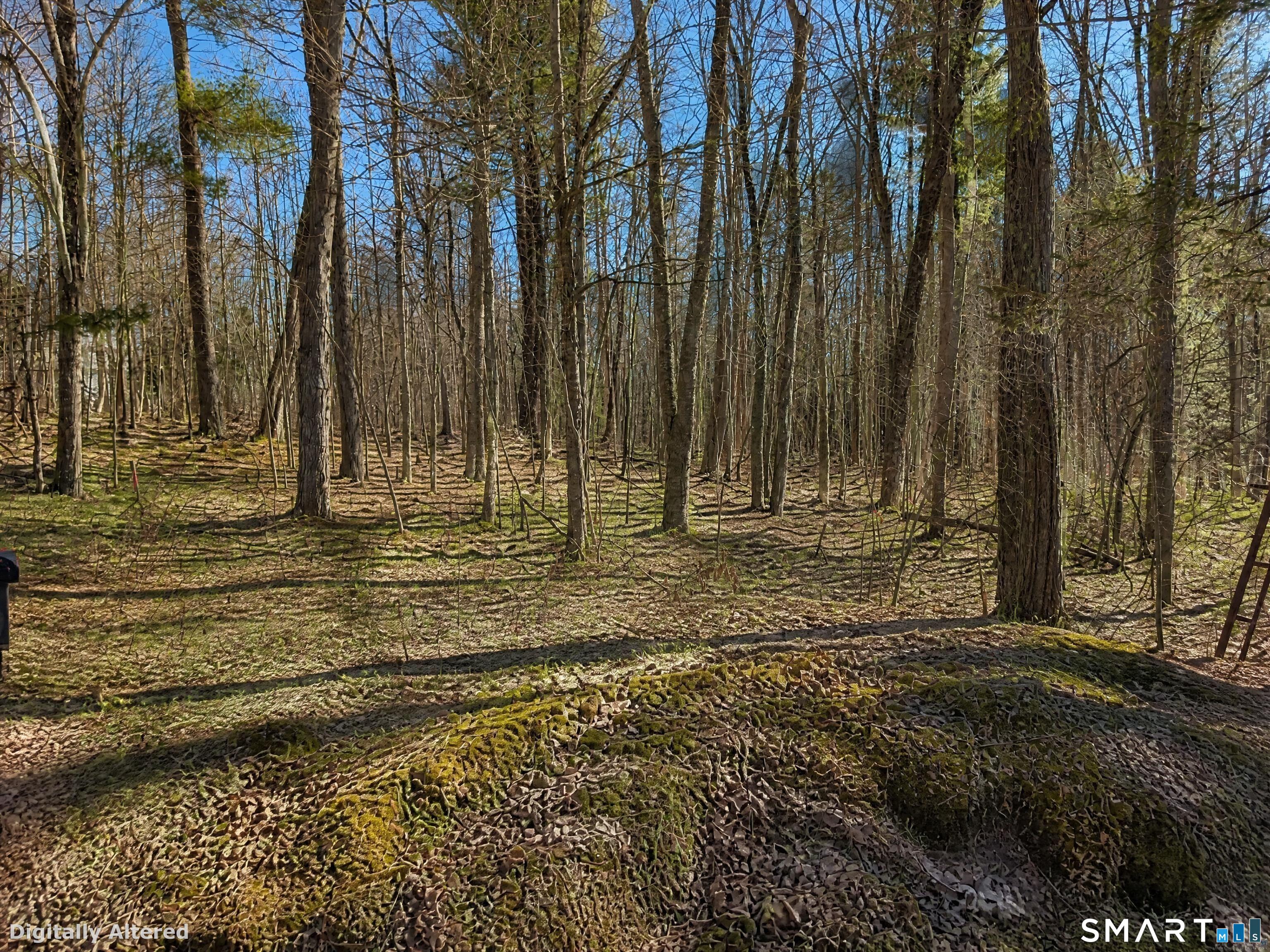 Photo 1 of Land for sale at 646 Torringford St, Torrington, CT 06790 | MLS# 24152725 | Listing updated on 2026-10-08