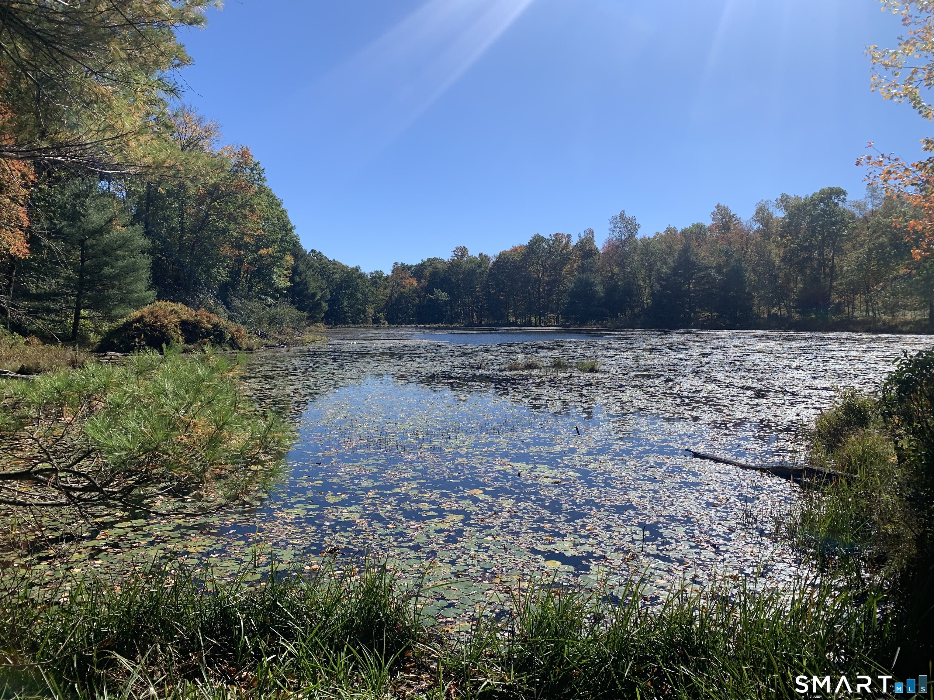 Photo 2 of Land for sale at Potter School Rd, Willington, CT 06279 | MLS# 24211150 | Listing updated on 2026-10-08