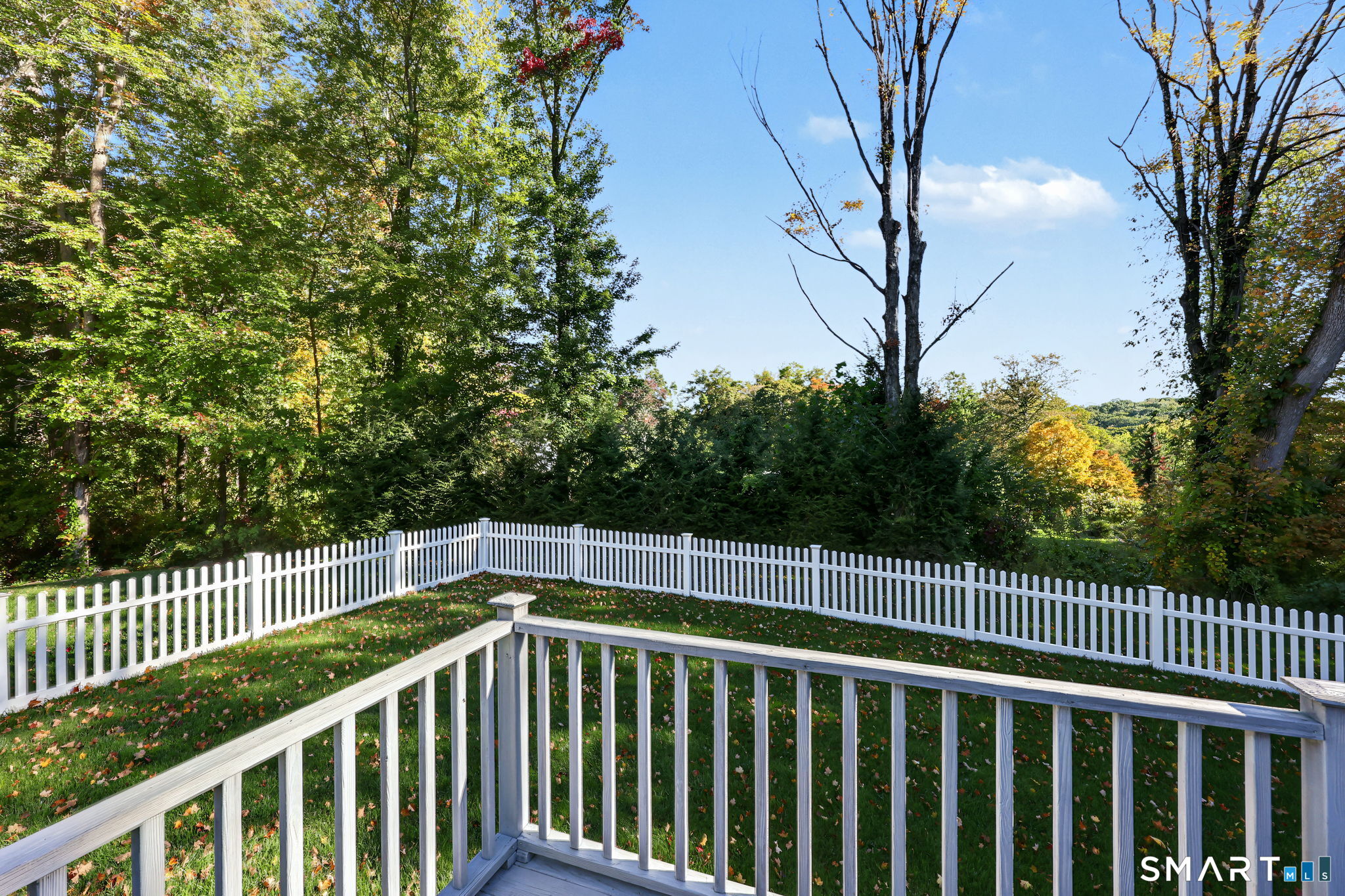 45 Ferndale Drive — photo 34