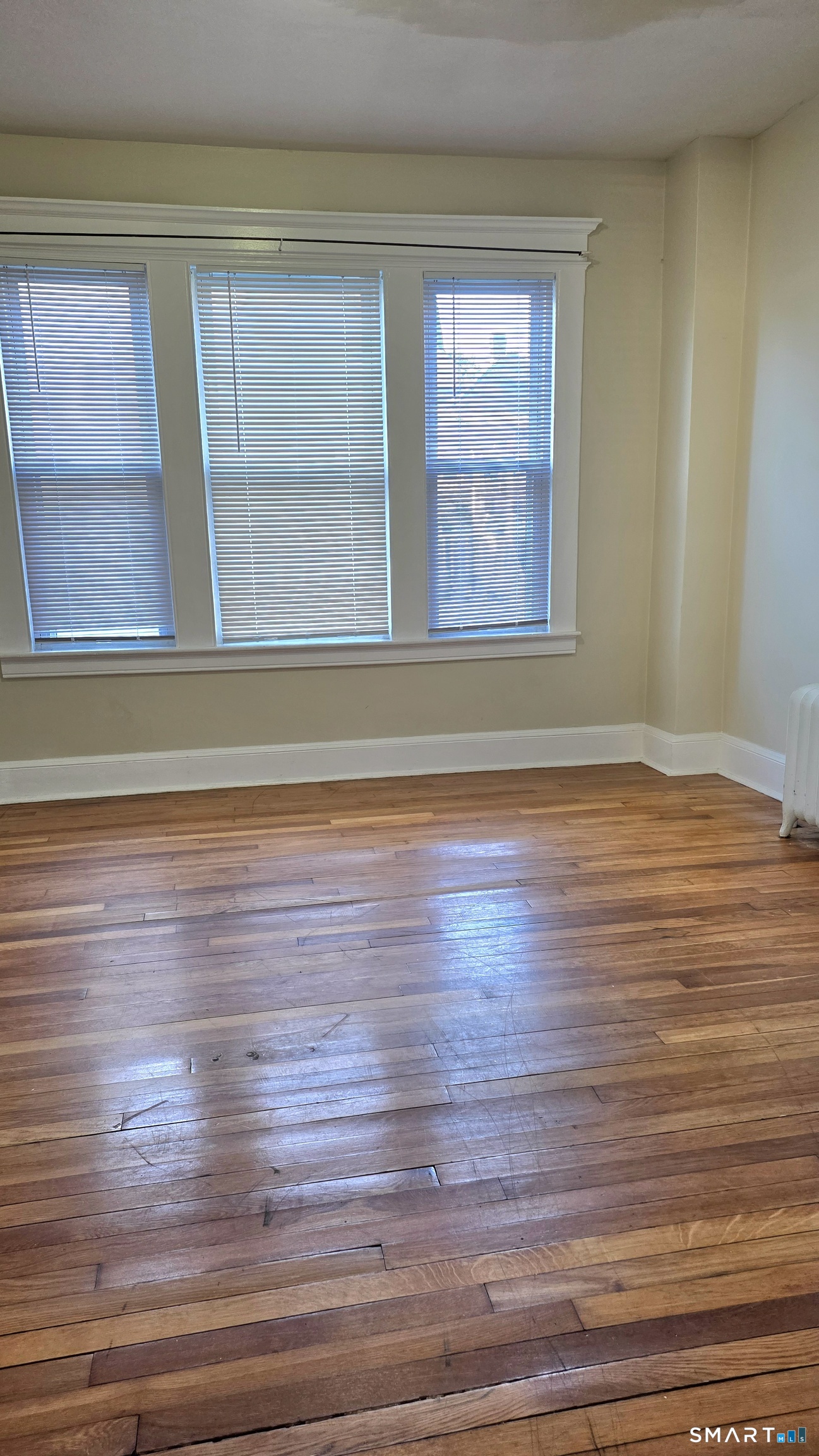 33 Ridgefield Avenue photo 8