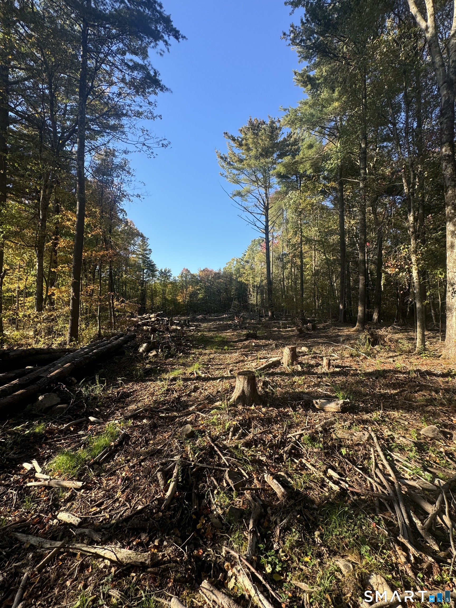 Property photo for 23 Red Fox Run, Canton, CT
