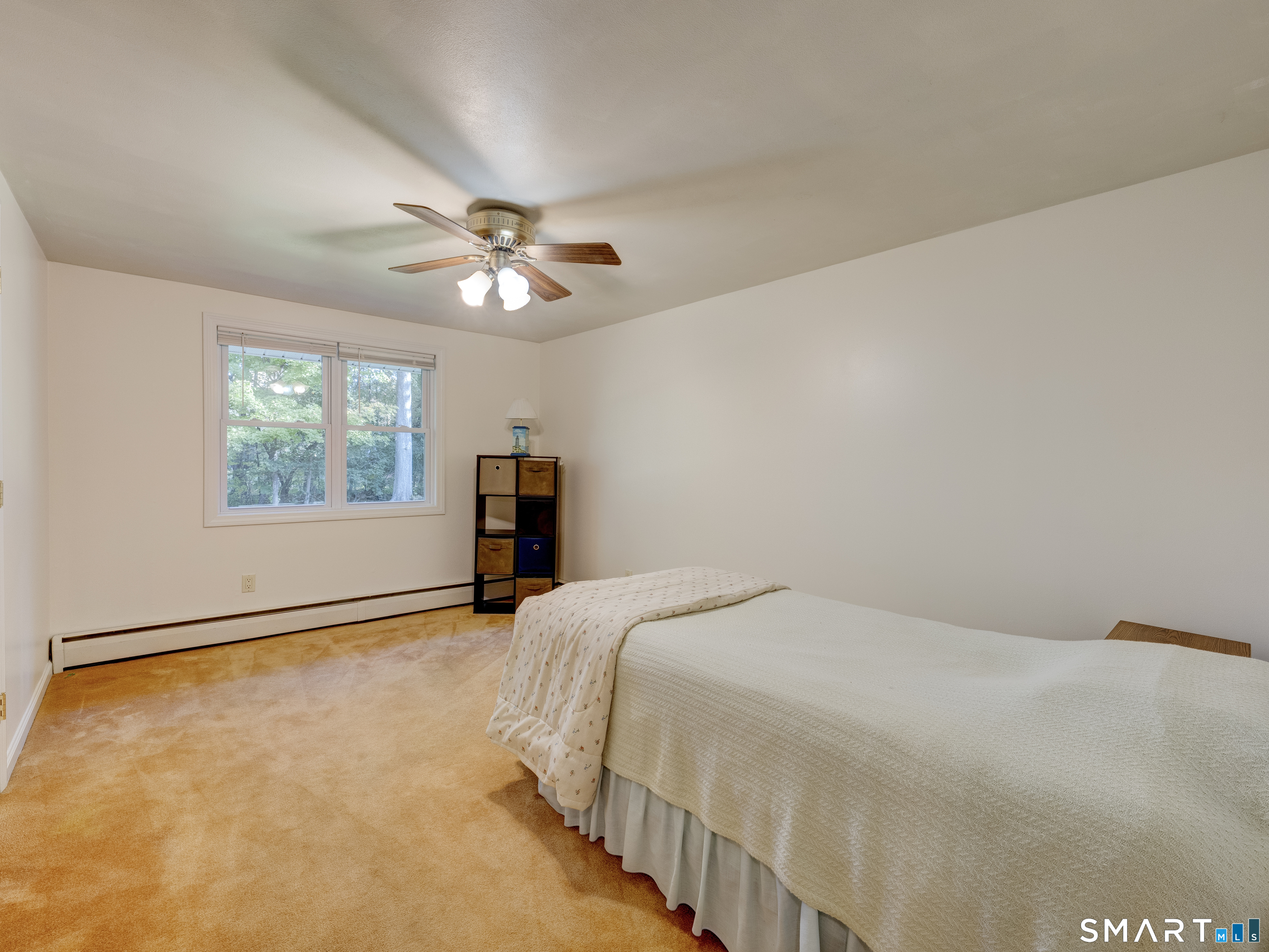 225 Dorothy Drive photo 23