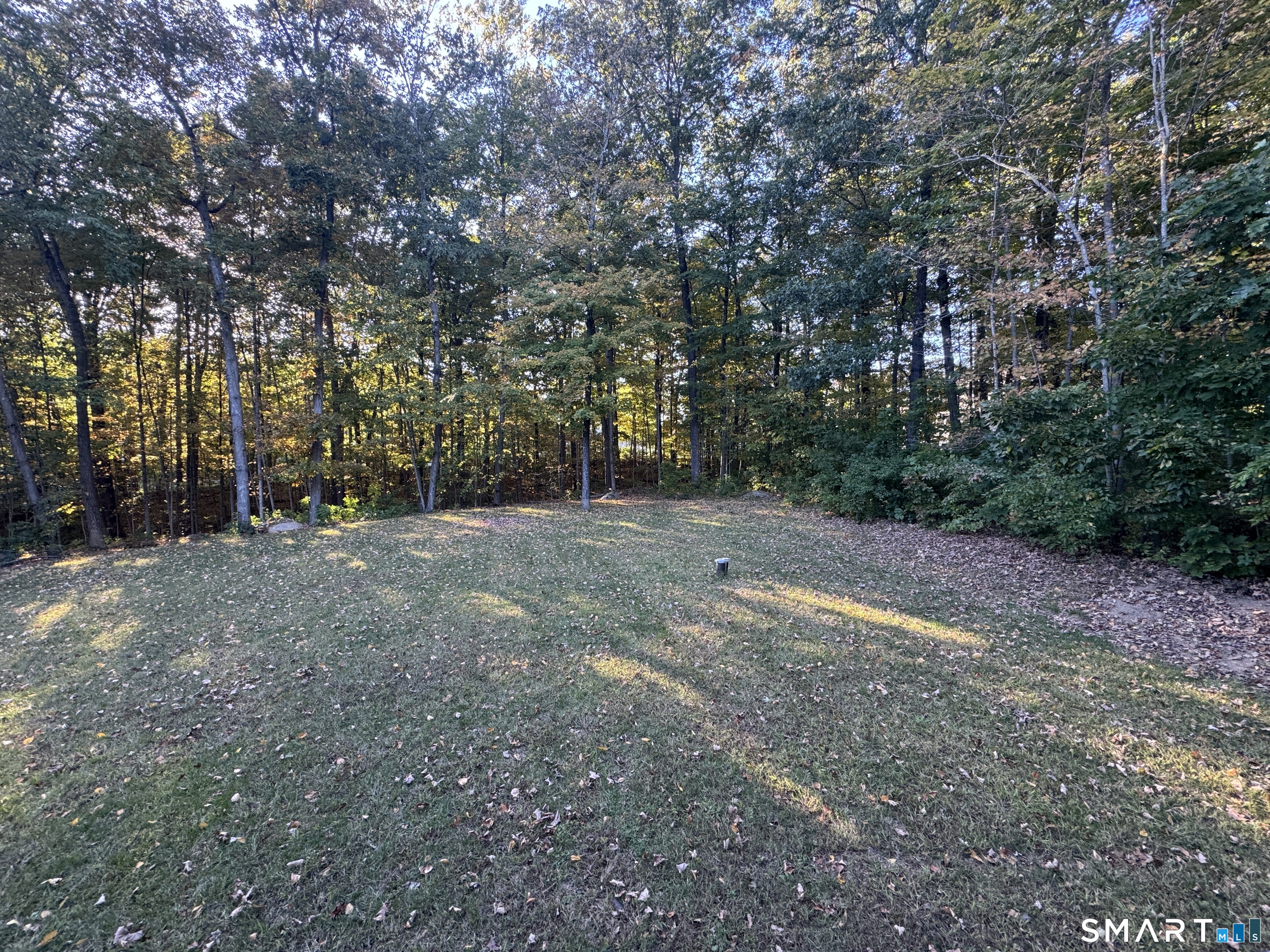 26 Hyde Farm Terrace photo 19