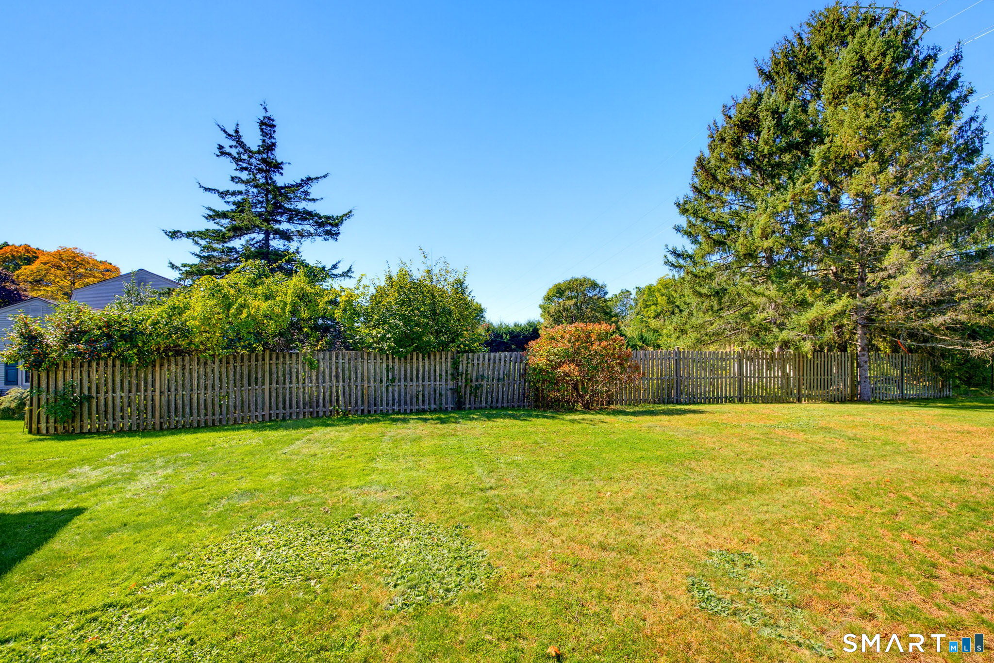40 Butternut Lane photo 9