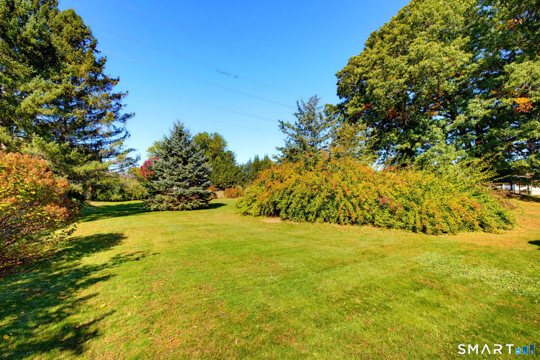 40 Butternut Lane photo 10