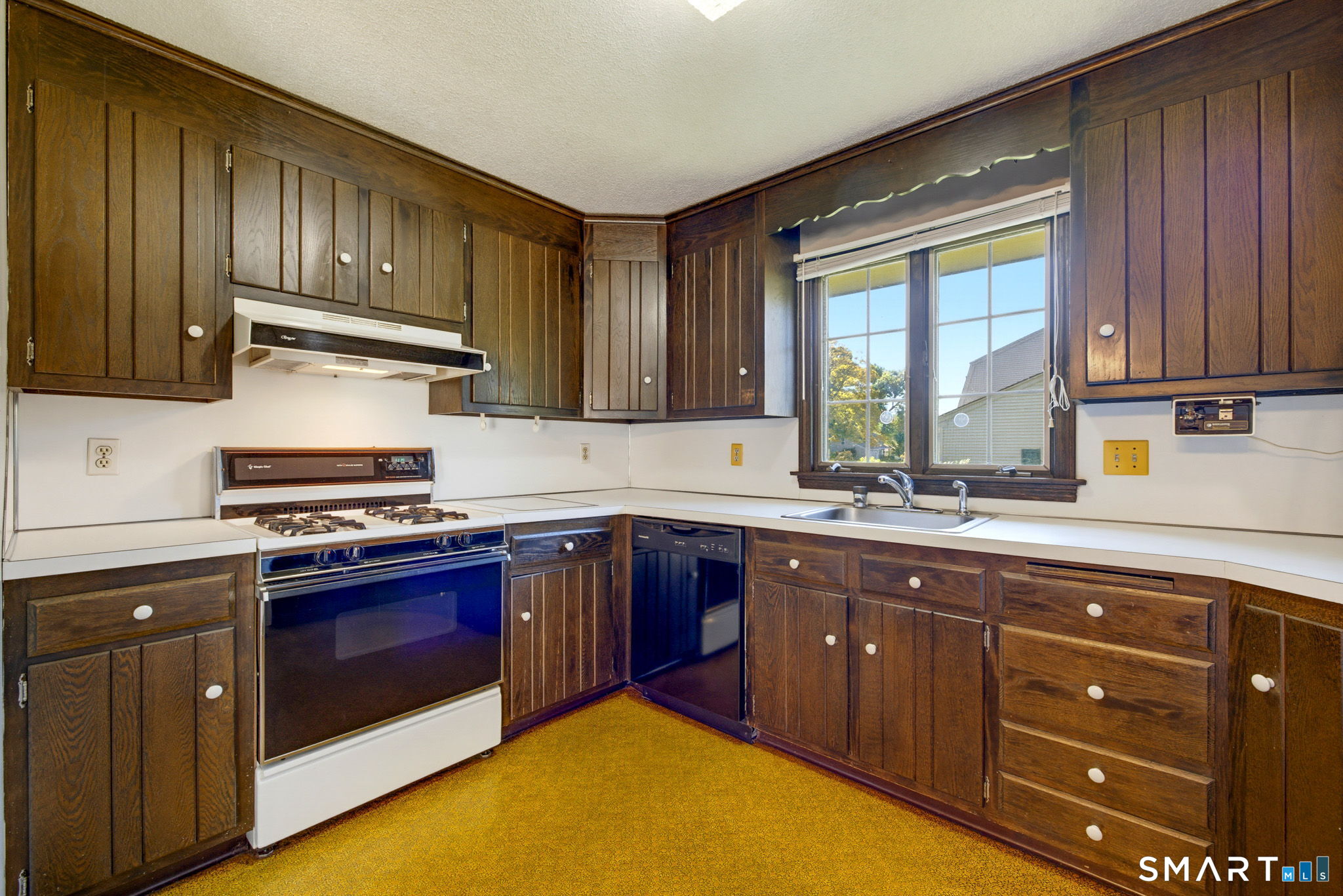 40 Butternut Lane photo 14