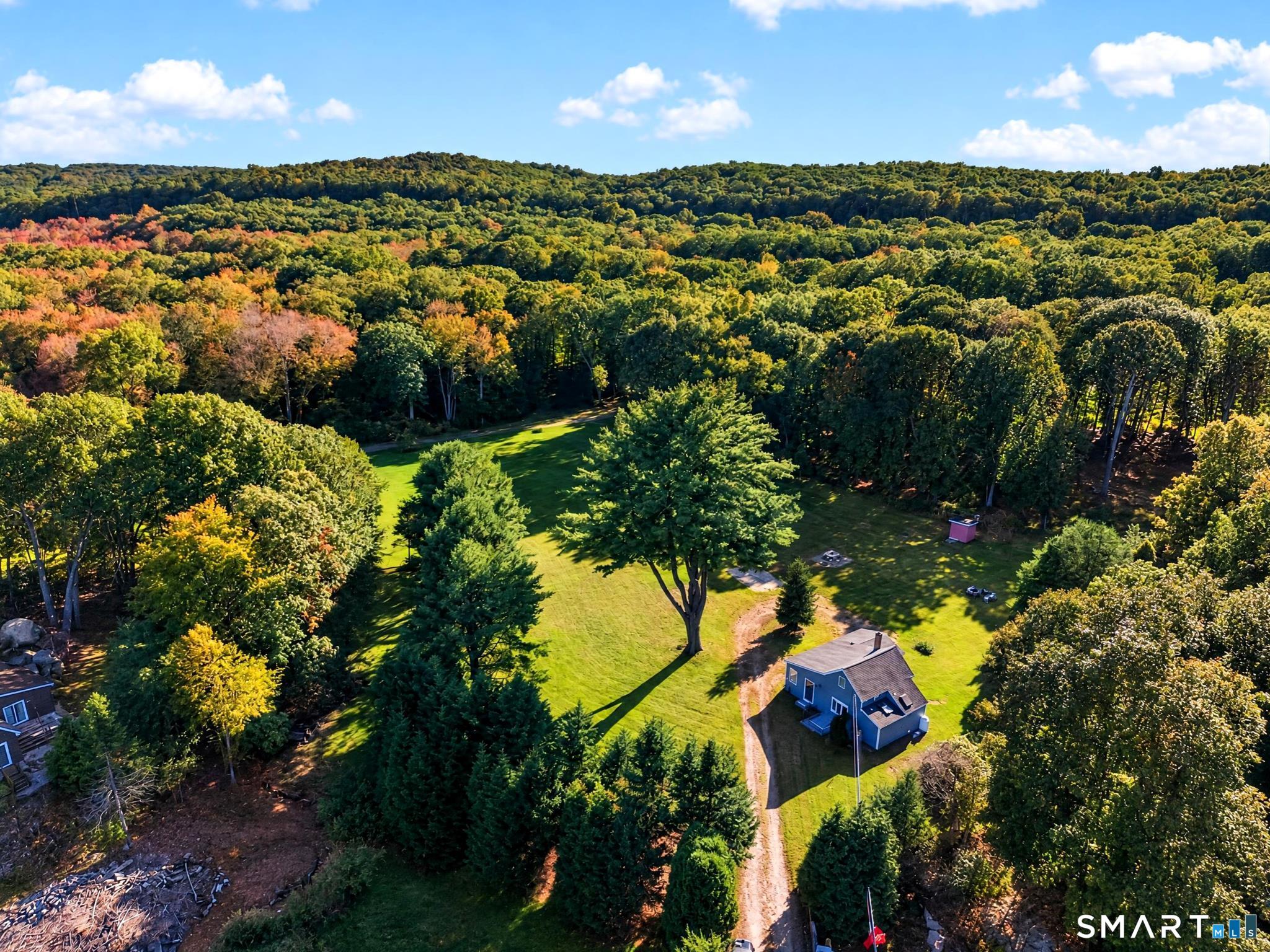 121 Bokum Road photo 23