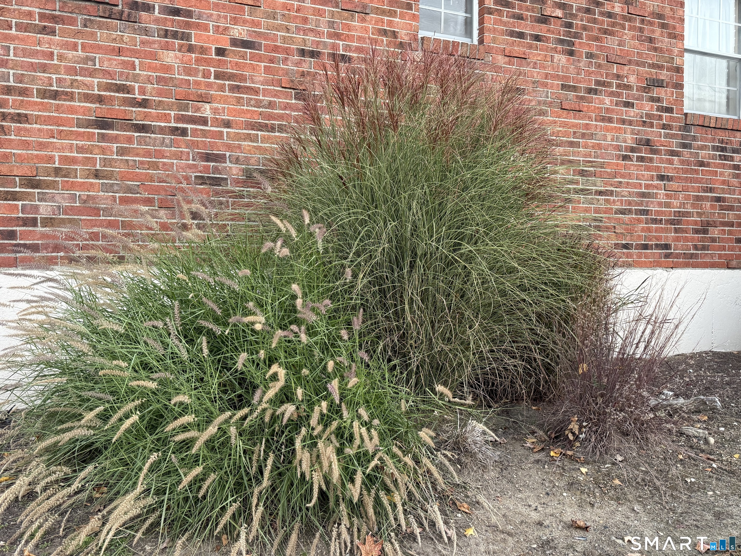 1000 Knapps Highway, Unit 10 — photo 11