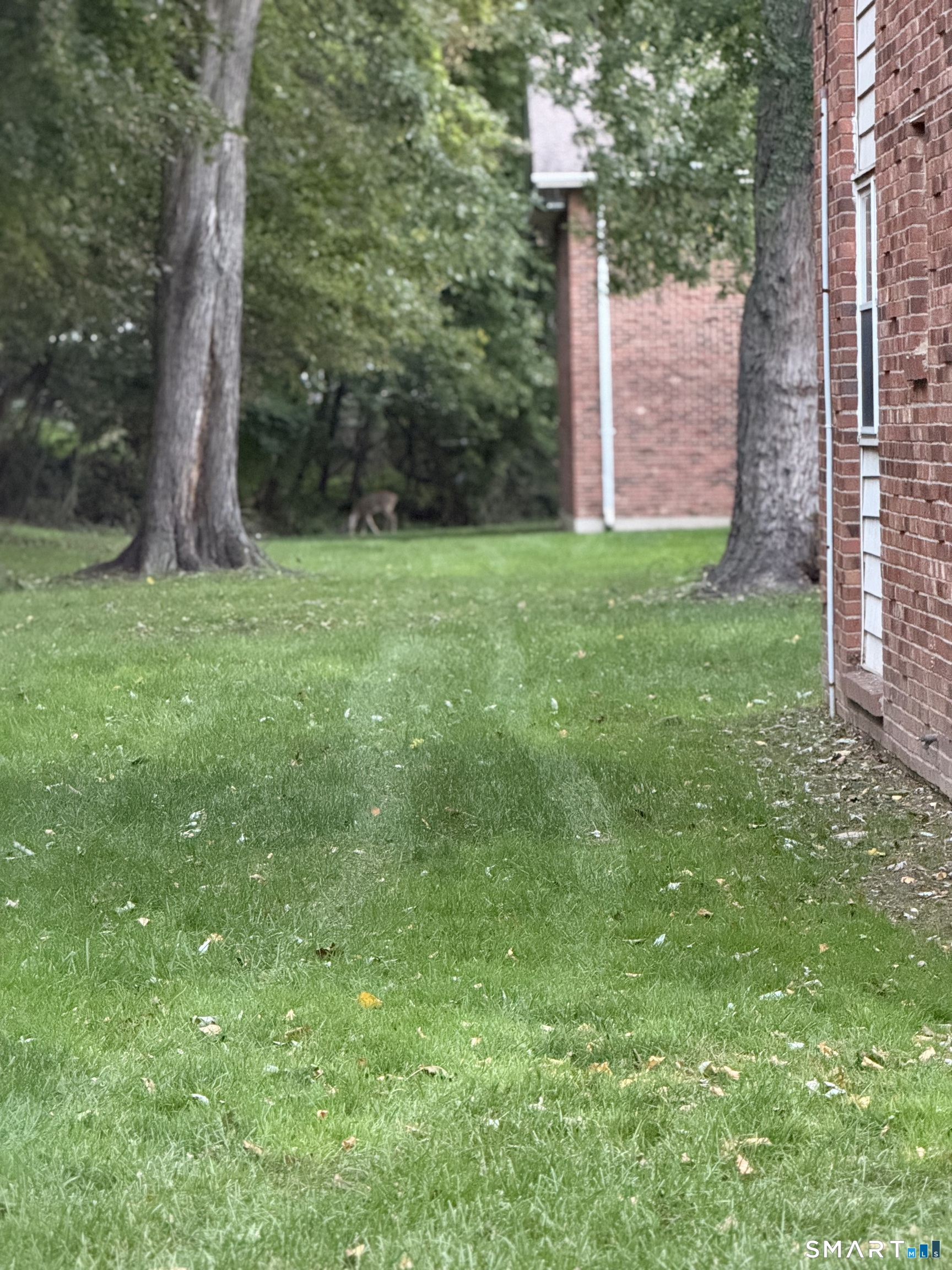 1000 Knapps Highway, Unit 10 — photo 13