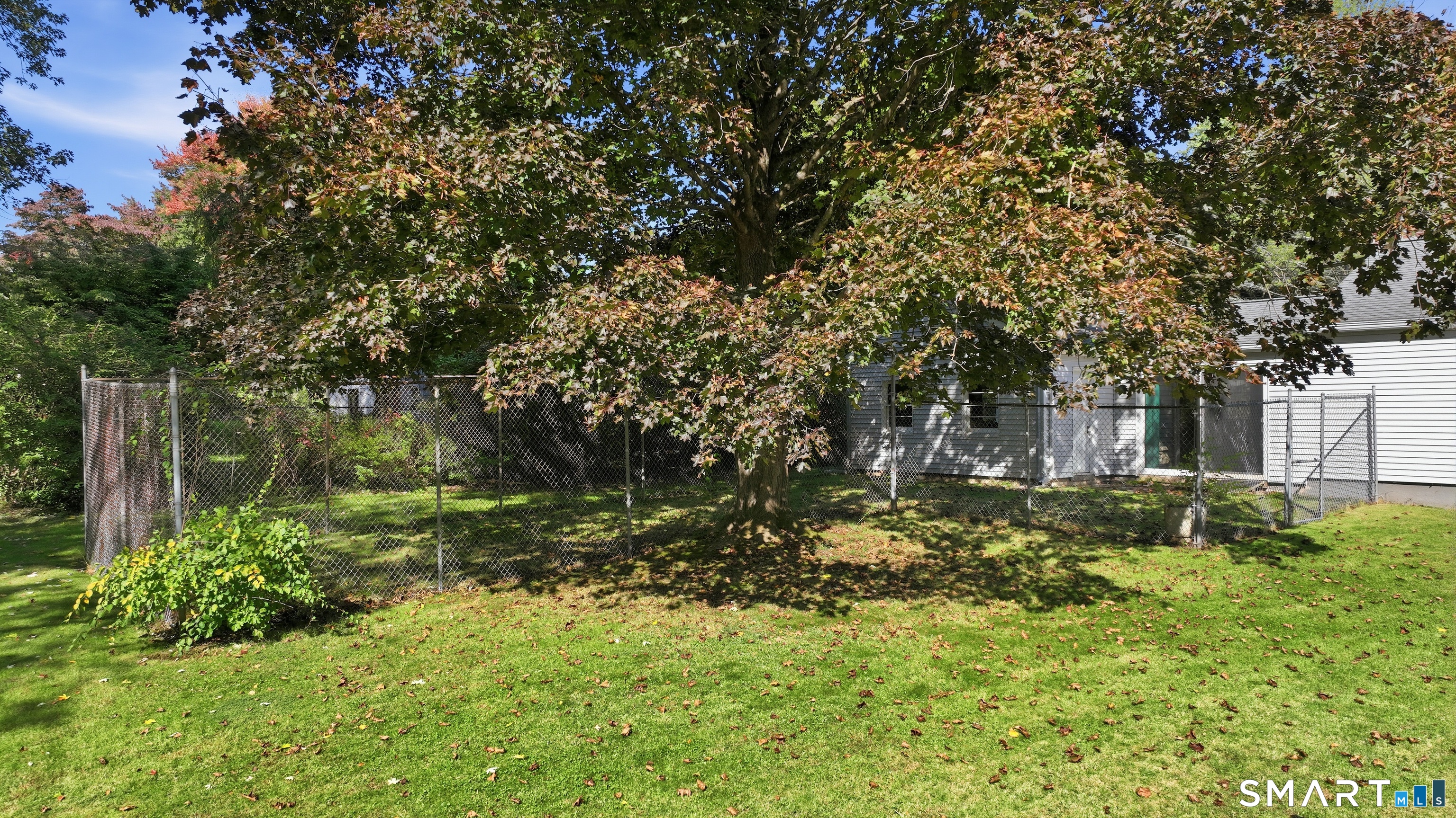 3 Thomas Street photo 26