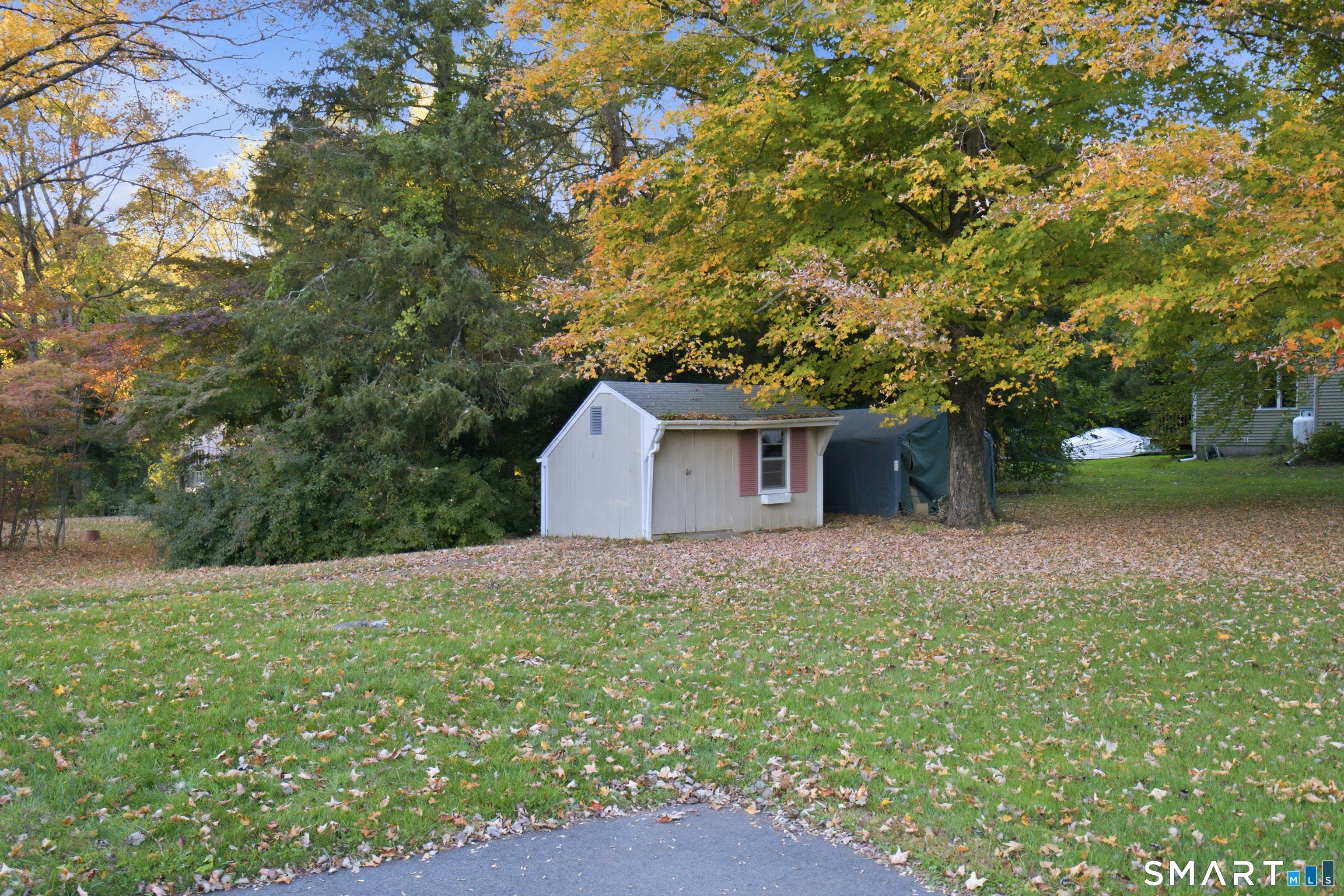 37 Colchester Avenue photo 33