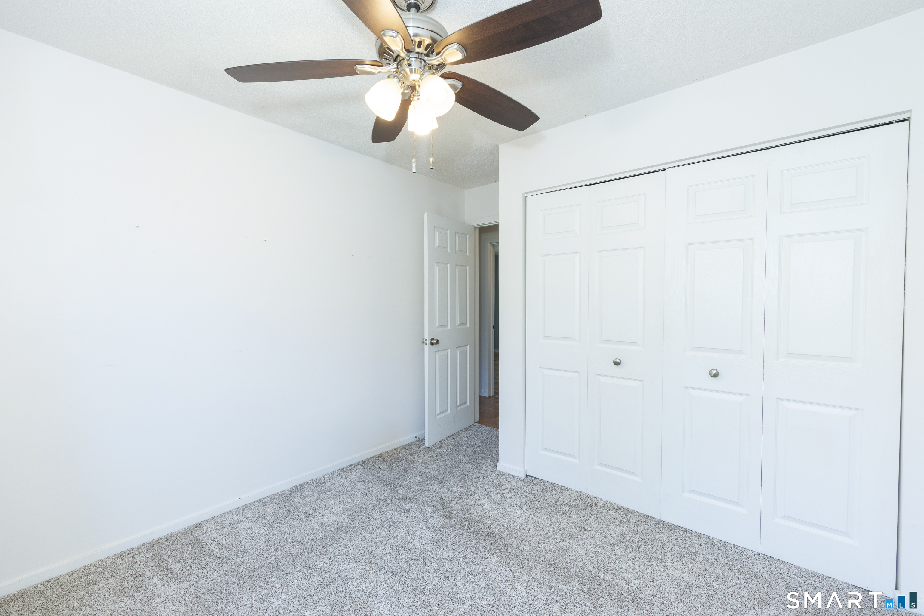 351 Bradley Street photo 12