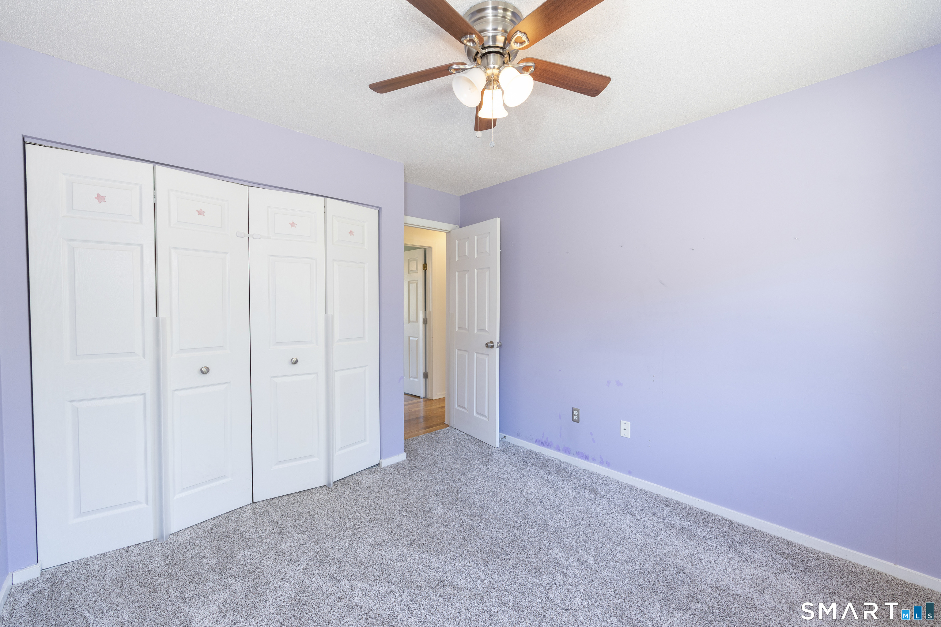 351 Bradley Street photo 13