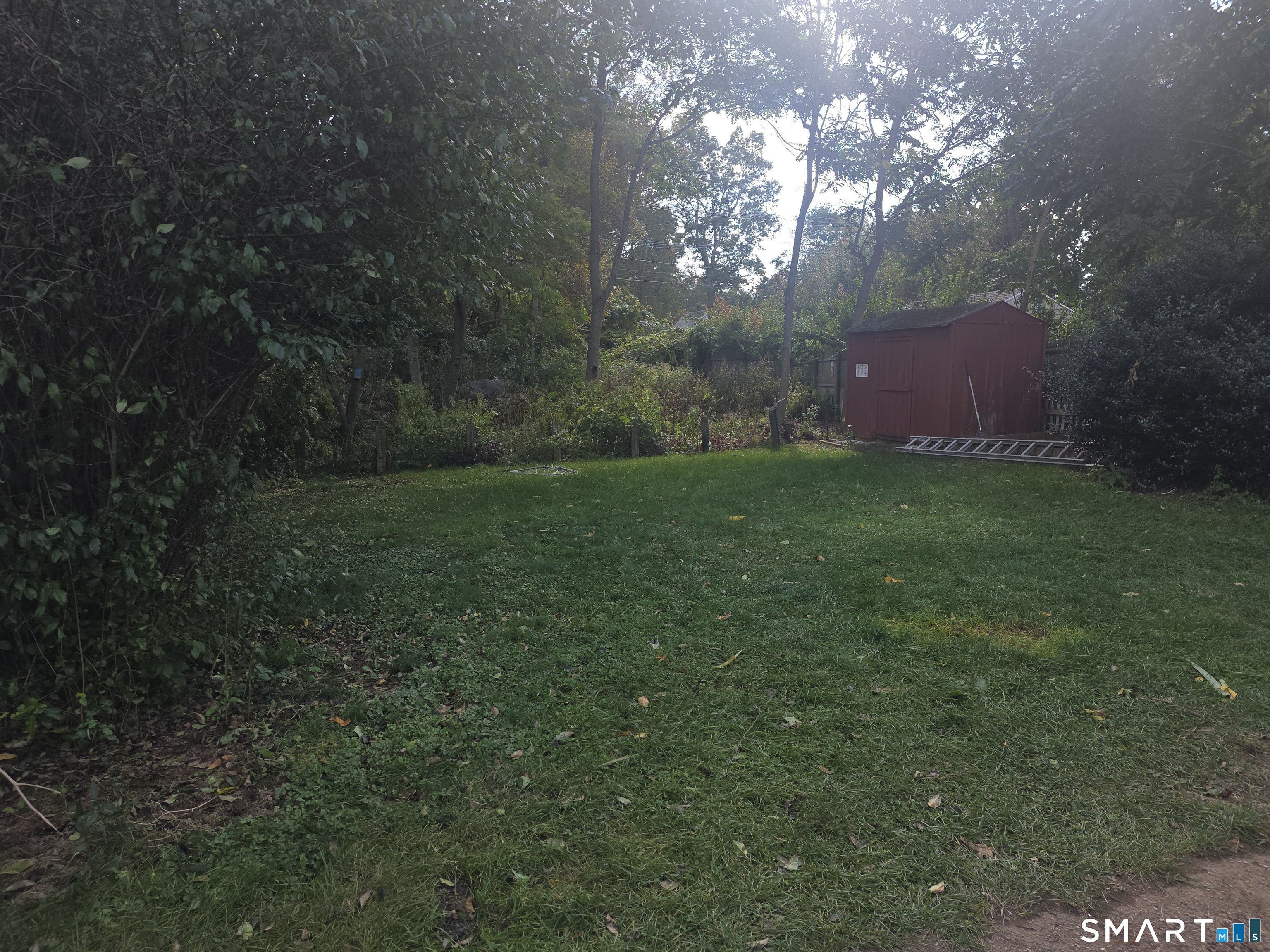 63 Elderkin Avenue photo 20