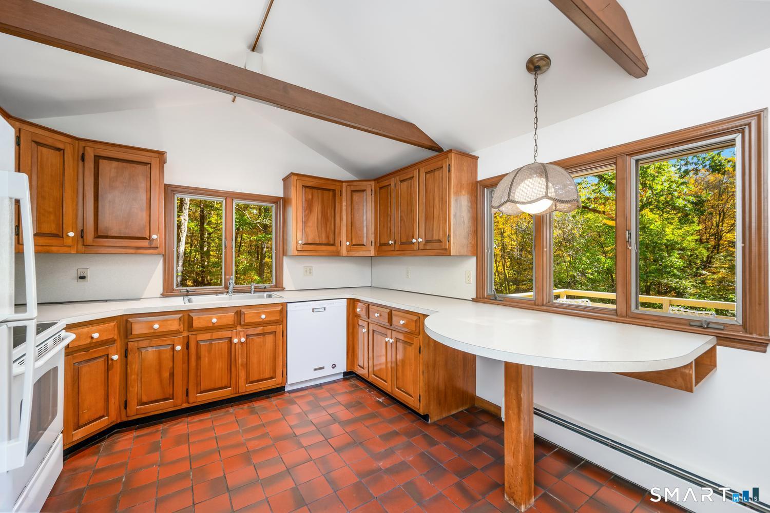 84 Turtleback photo 12
