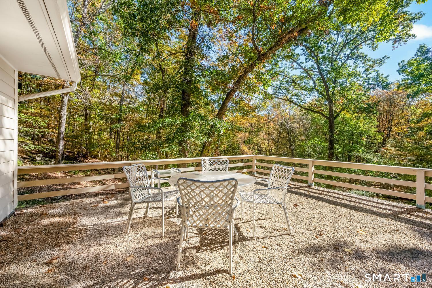 84 Turtleback photo 16