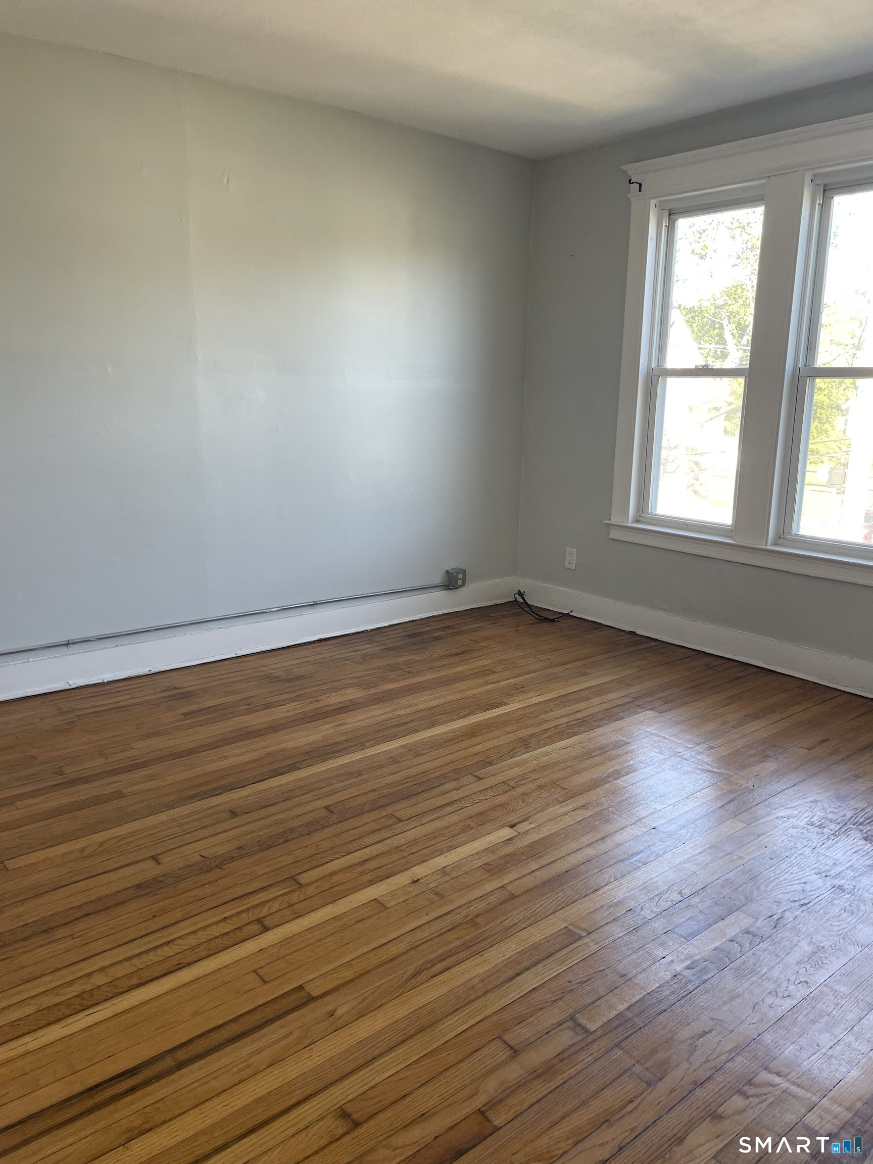 229 White Street photo 6