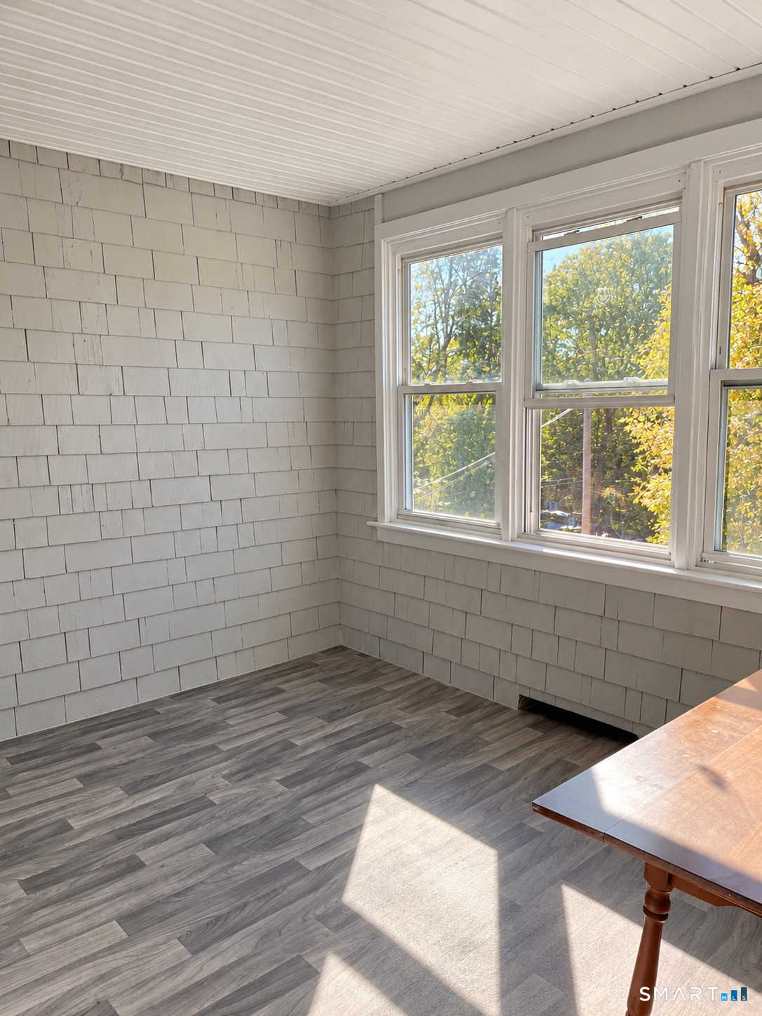 229 White Street photo 12