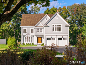 8 Bouton, Darien