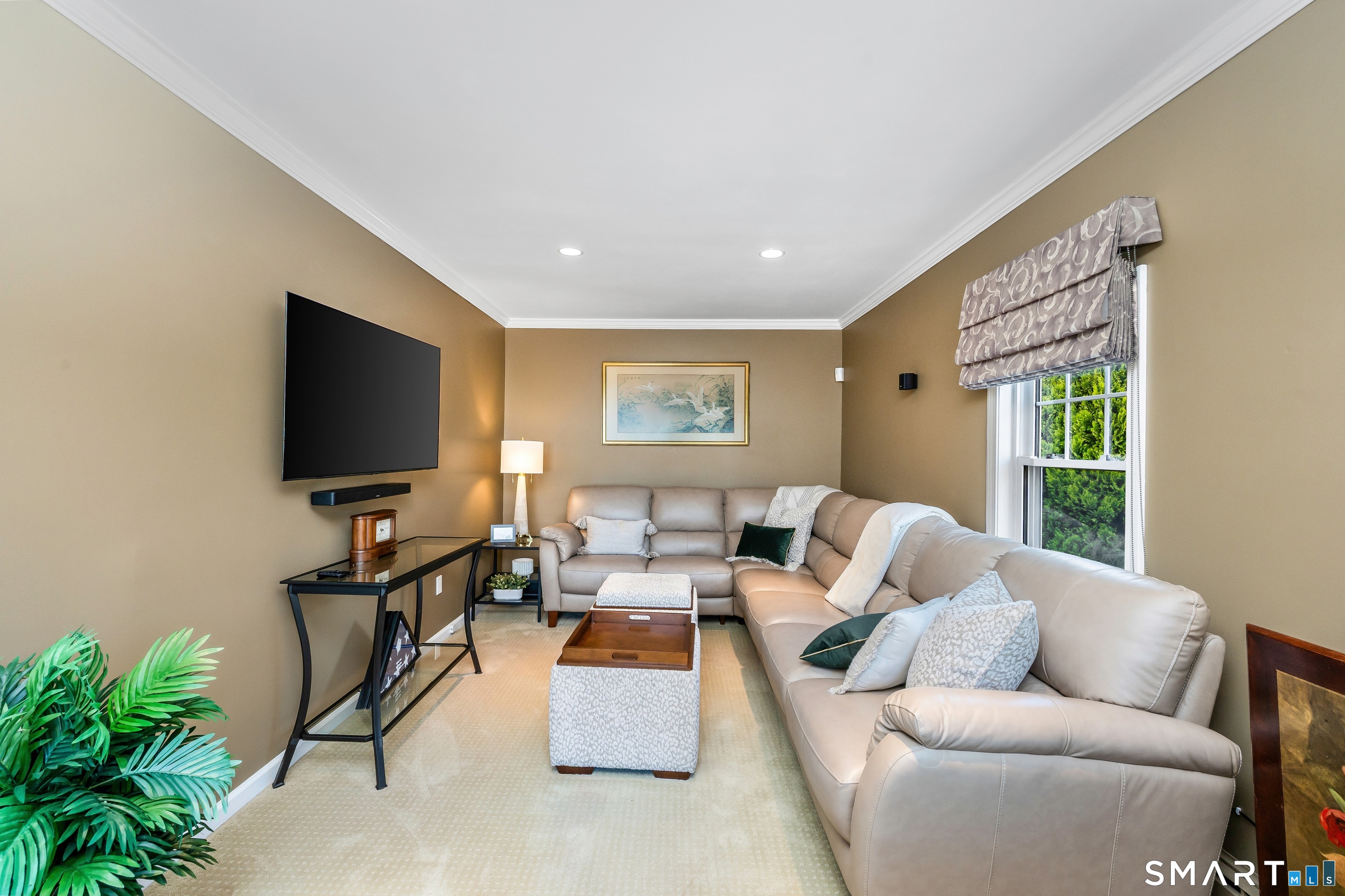 495 Cutspring photo 22