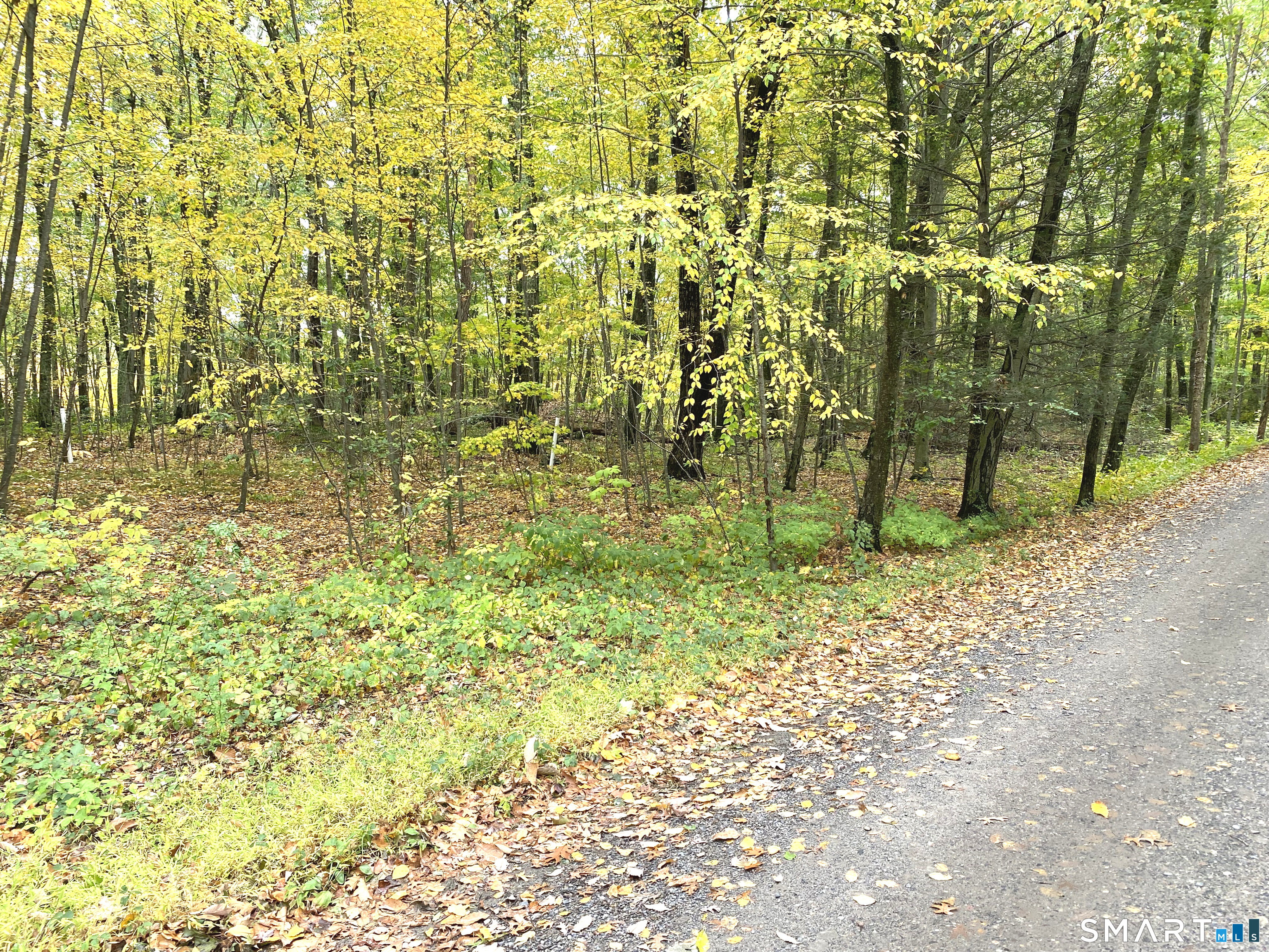 Photo 3 of Land for sale at Dorothy Diebold Ln, Roxbury, CT 06783 | MLS# 24213602 | Listing updated on 2026-10-16