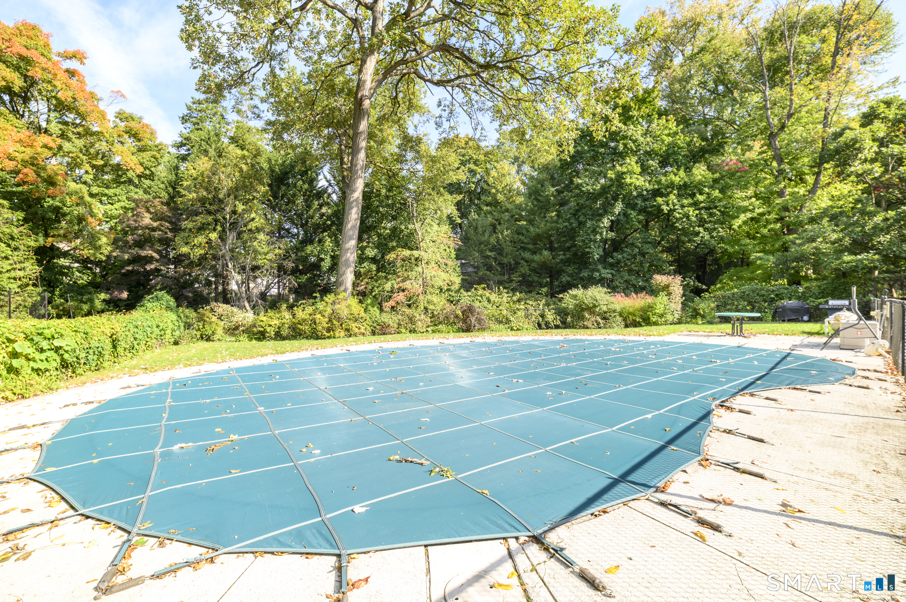 76 Maple Tree Avenue, Unit 3 — photo 22