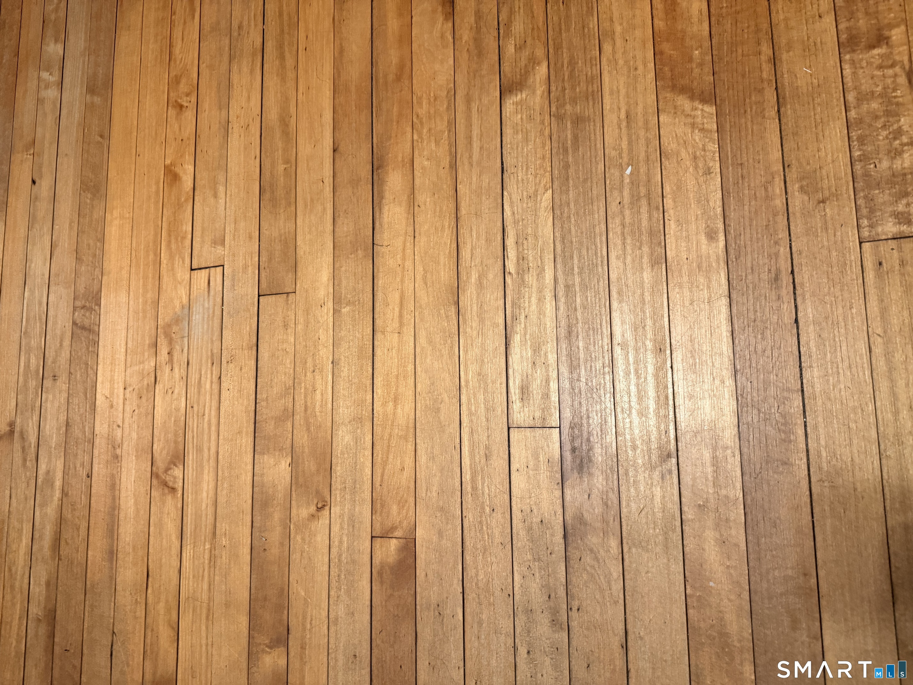 1547 Stratford photo 25