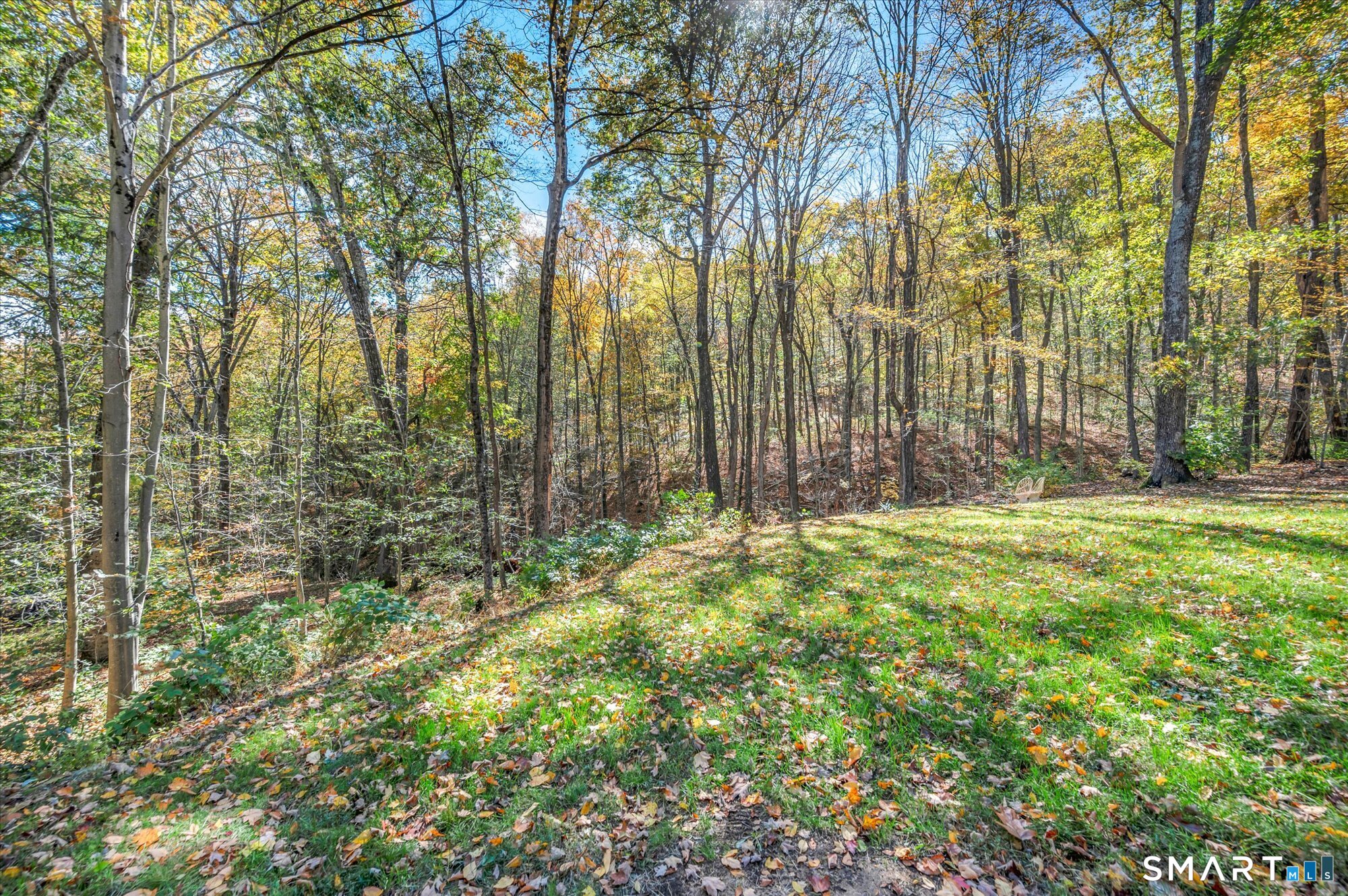 1755 Great Hill Road photo 35