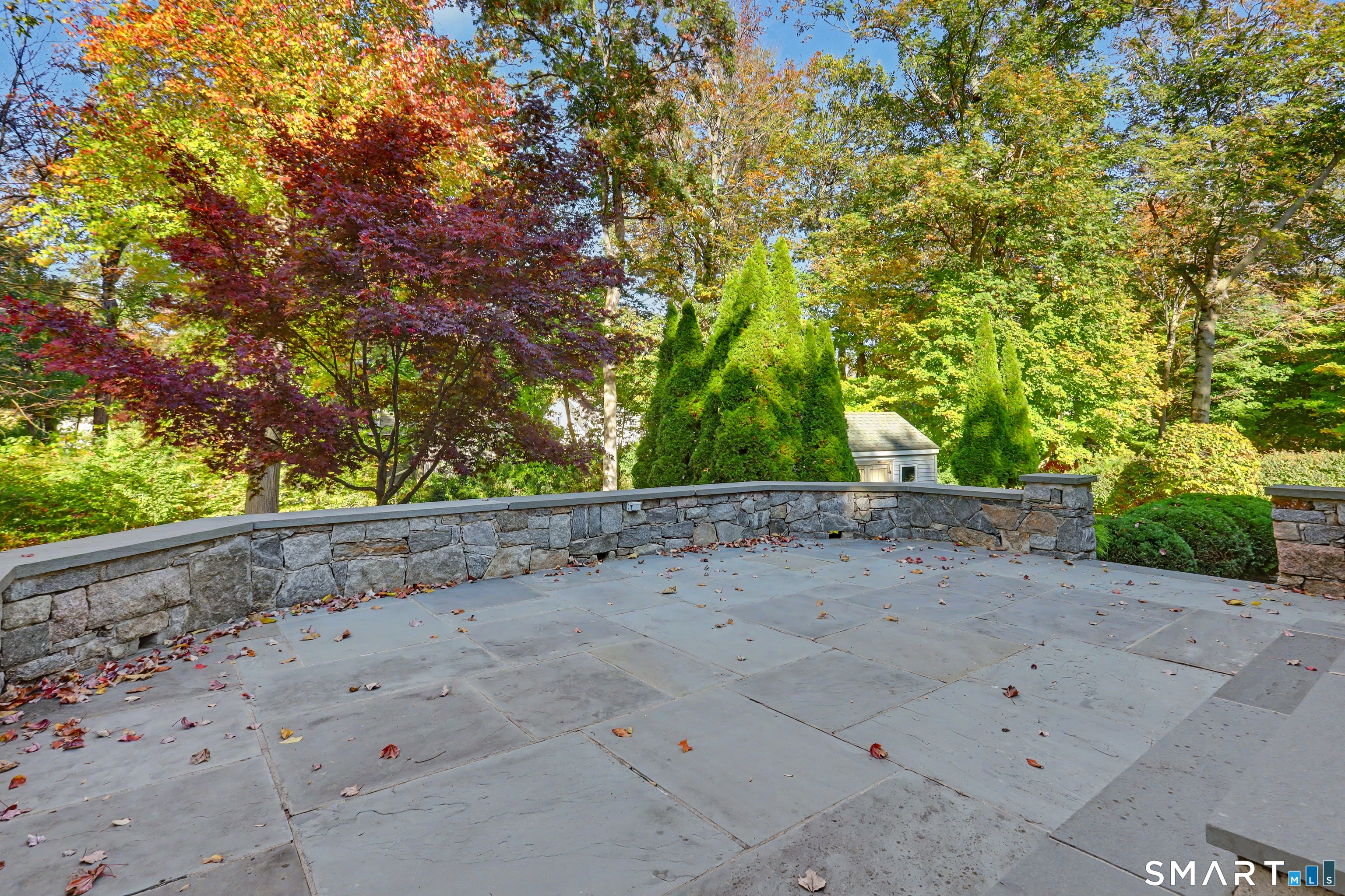 10 Jennifer Road — photo 31
