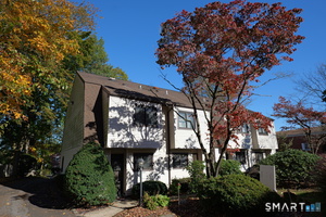 329 Strawberry Hill Avenue, Unit 4