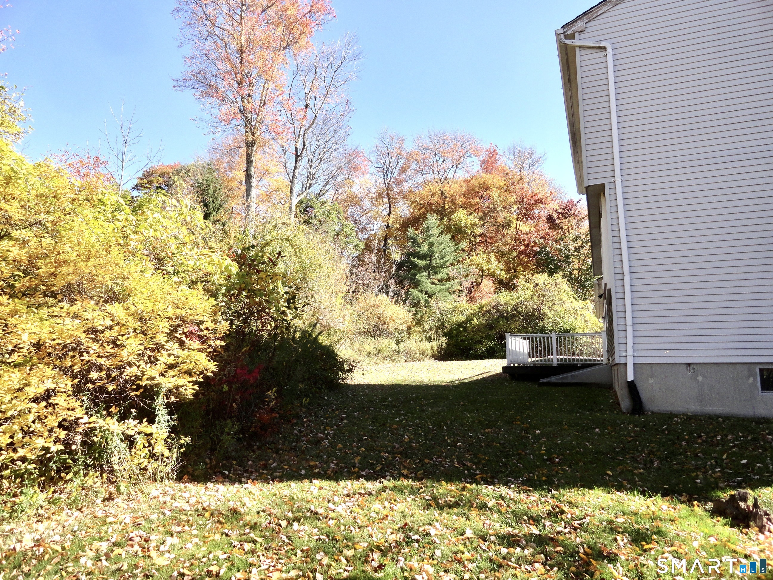 55 Wedgewood Drive photo 29