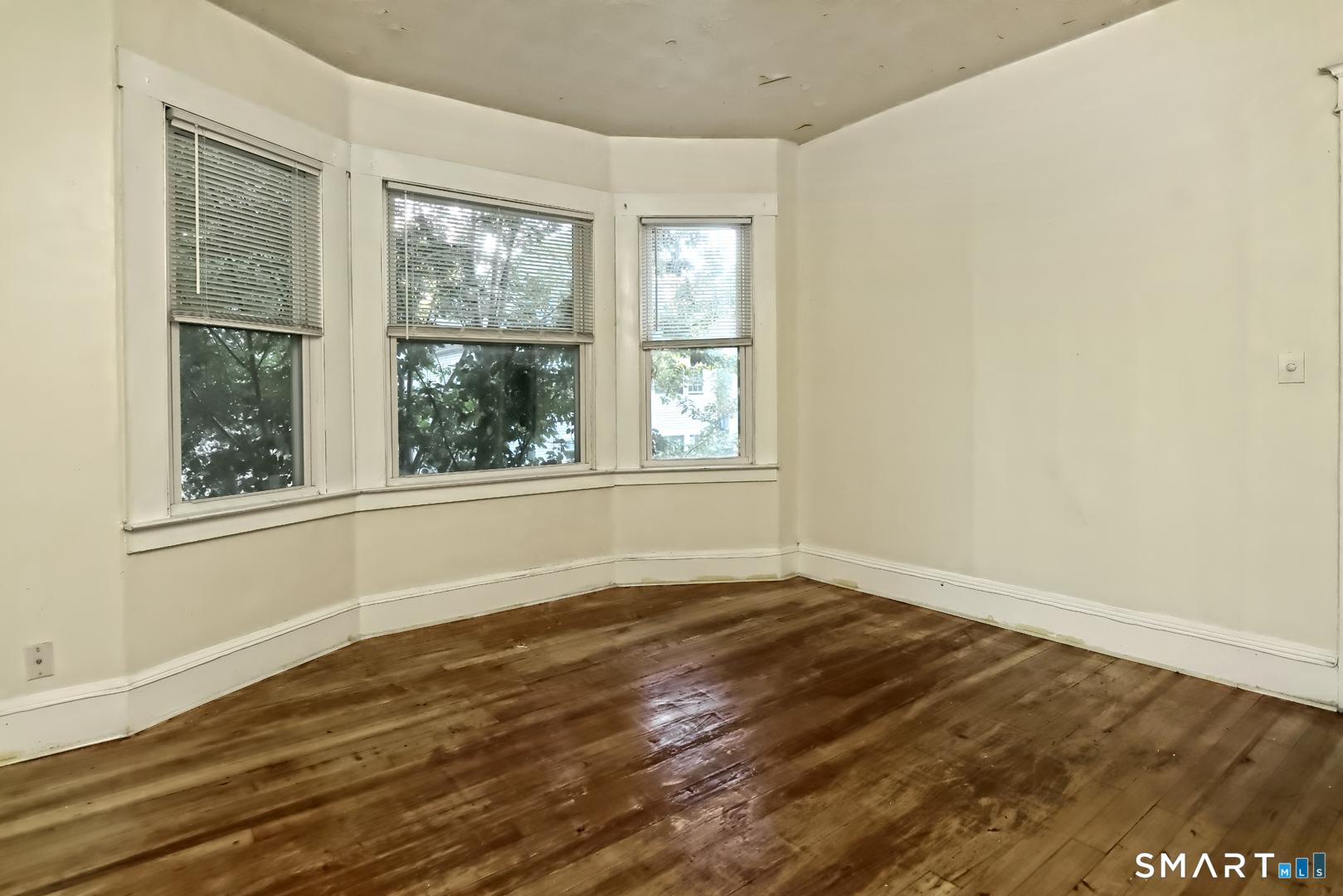 53 Alling Street photo 33