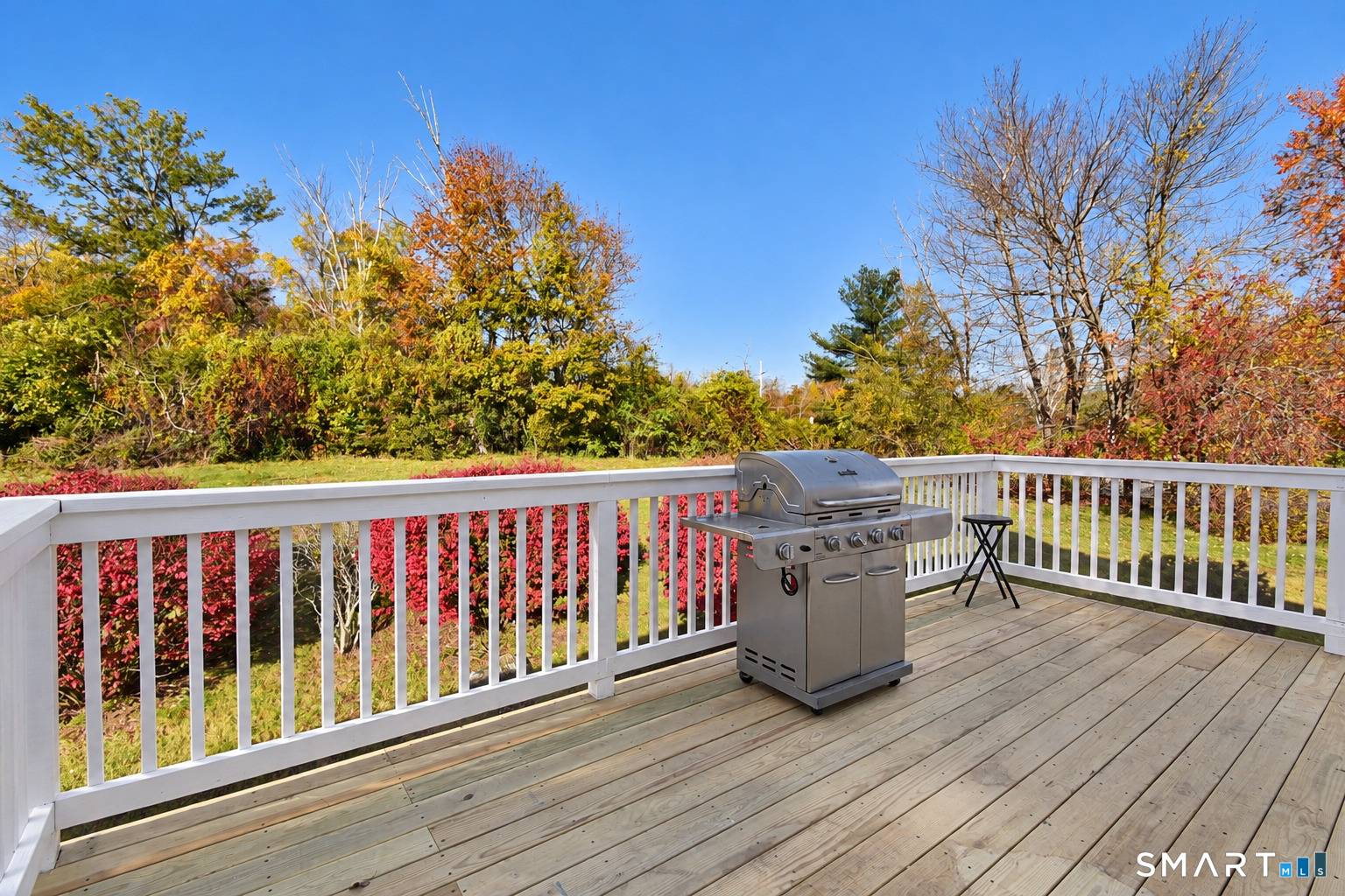 311 Torringford Street photo 23