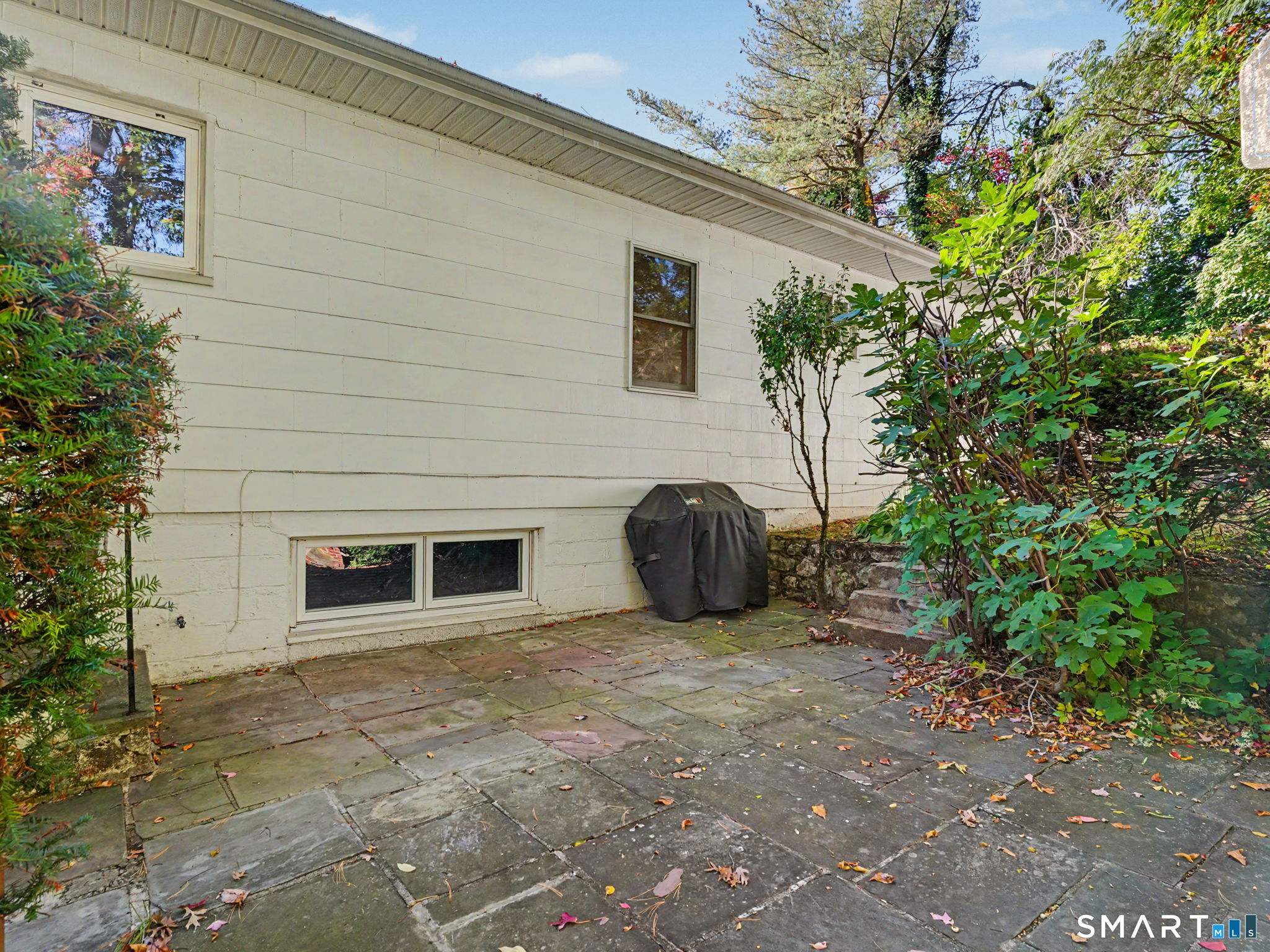 58 Muriel Drive — photo 24