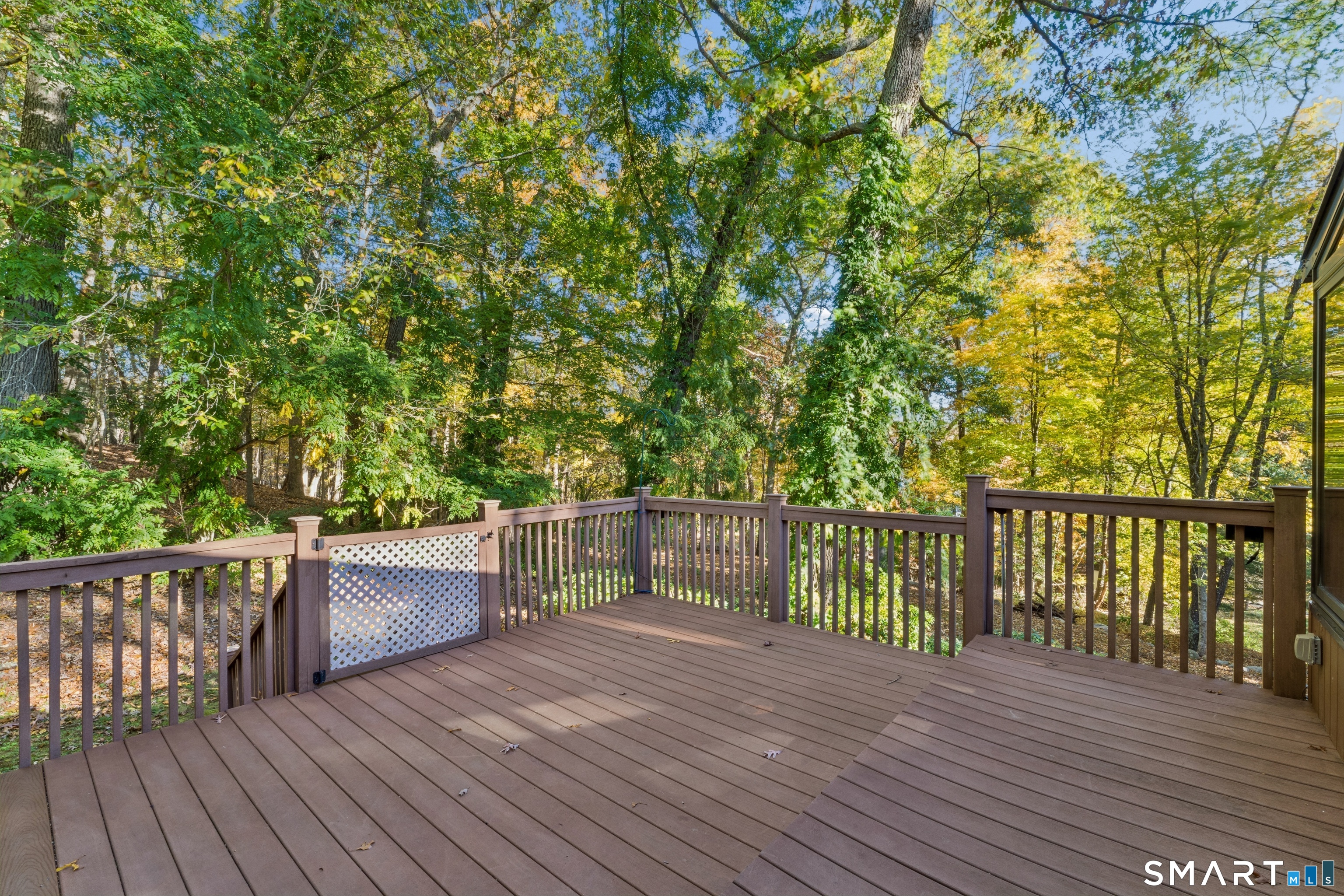 460 White Birch Drive photo 21
