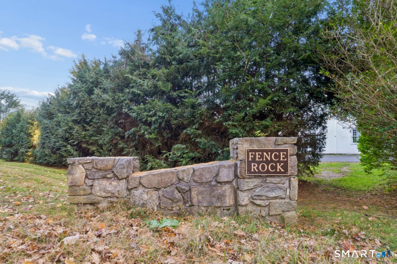 460 White Birch Drive photo 39
