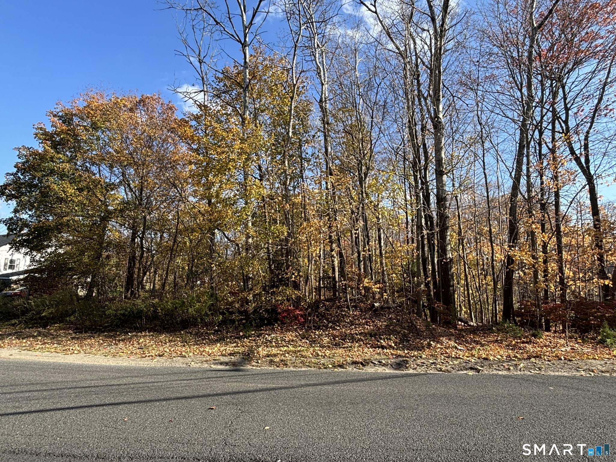 Photo 3 of Land for sale at N Main St, Waterbury, CT 06704 | MLS# 24217901 | Listing updated on 2026-10-29