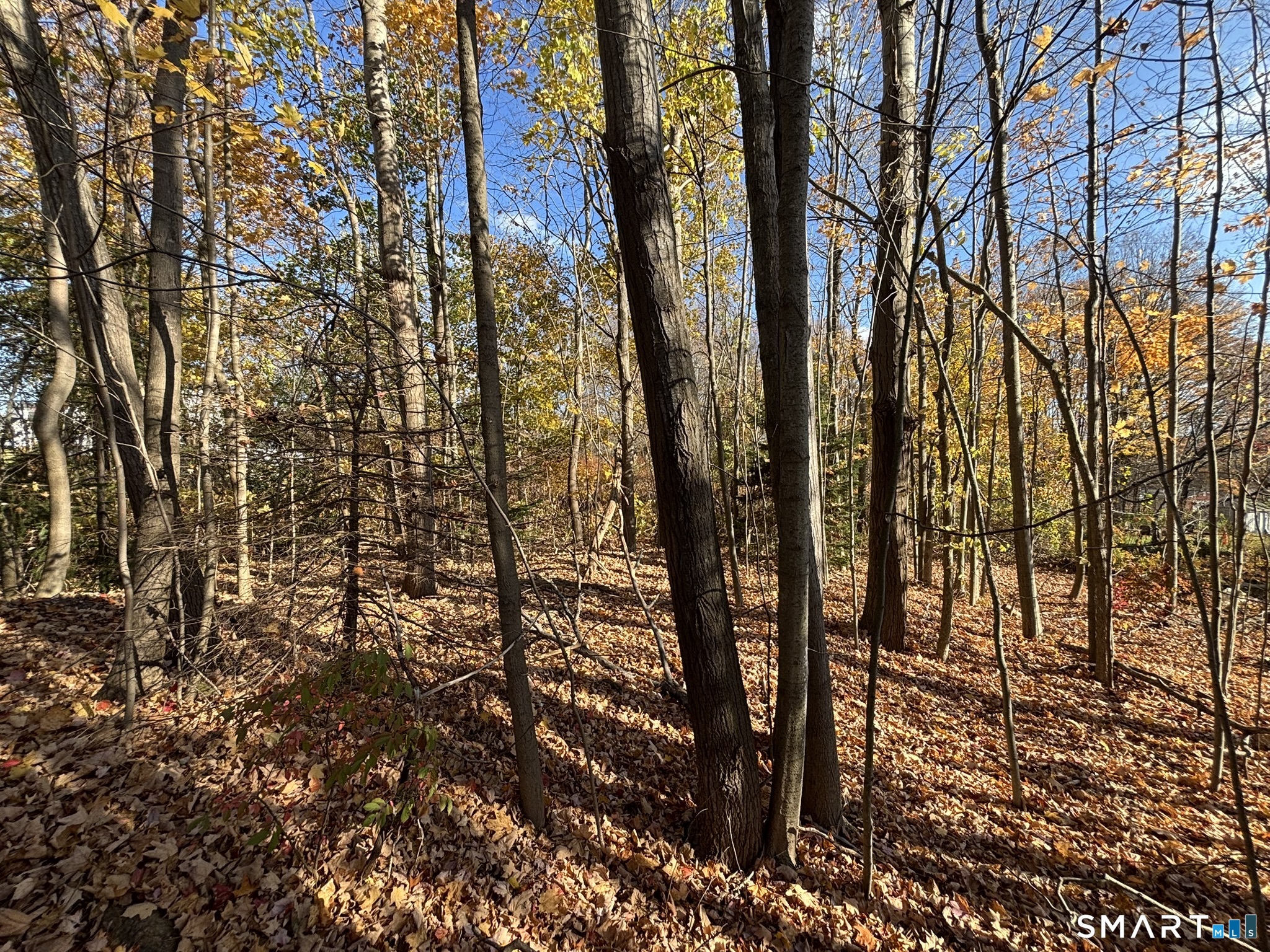 Photo 4 of Land for sale at N Main St, Waterbury, CT 06704 | MLS# 24217901 | Listing updated on 2026-10-29
