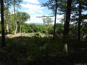 Homes for sale in Salisbury, CT | 00 Scoville Ore Mine Rd, Salisbury, CT 06068 | MLS# L10209402