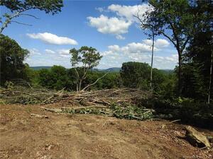 Homes for sale in Salisbury, CT | 00 Scoville Ore Mine Rd, Salisbury, CT 06068 | MLS# L10209402