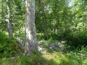 Homes for sale in Old Lyme, CT | 184 Shore Rd, Old Lyme, CT 06371 | MLS# 24064745