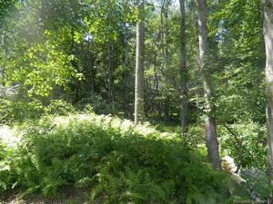 Homes for sale in Old Lyme, CT | 184 Shore Rd, Old Lyme, CT 06371 | MLS# 24064745